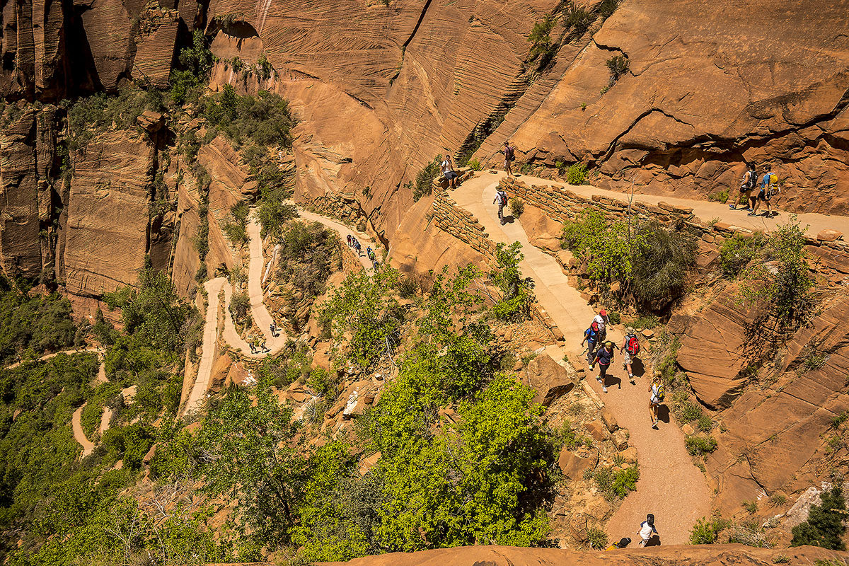 Zion NP02-4.jpg