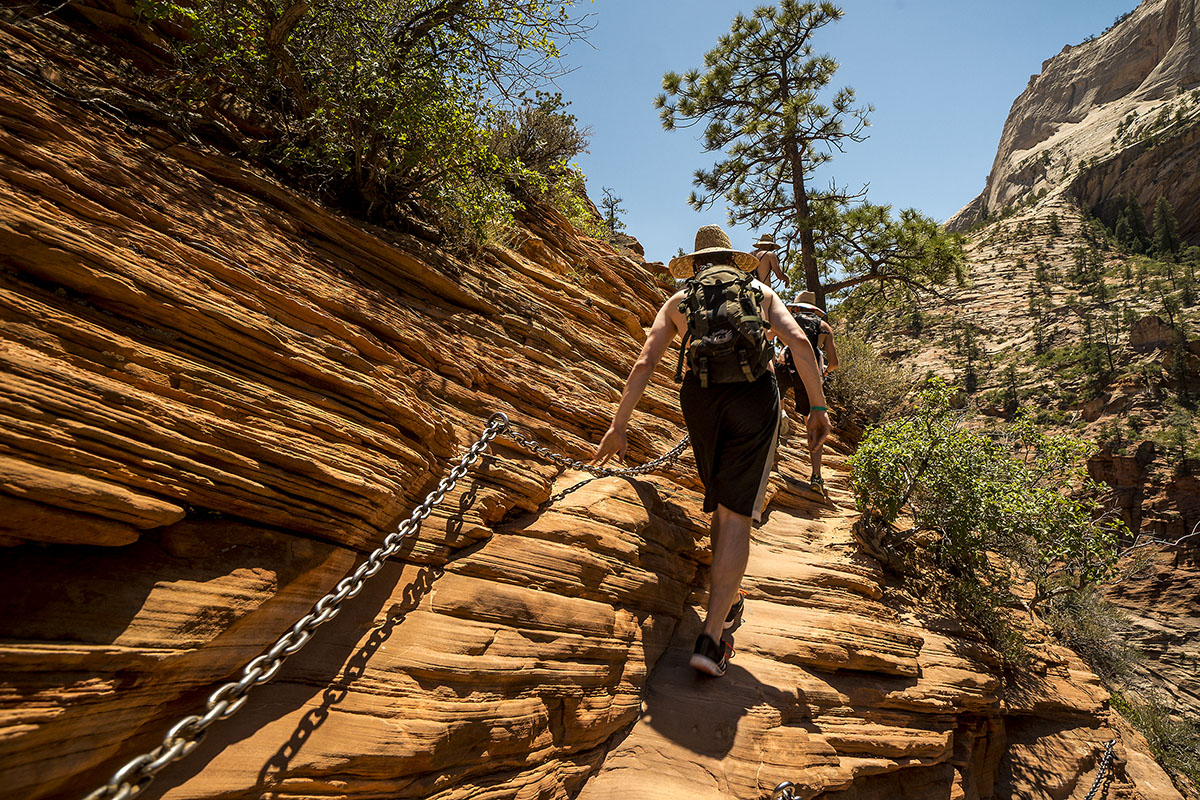 Zion NP08-3.jpg