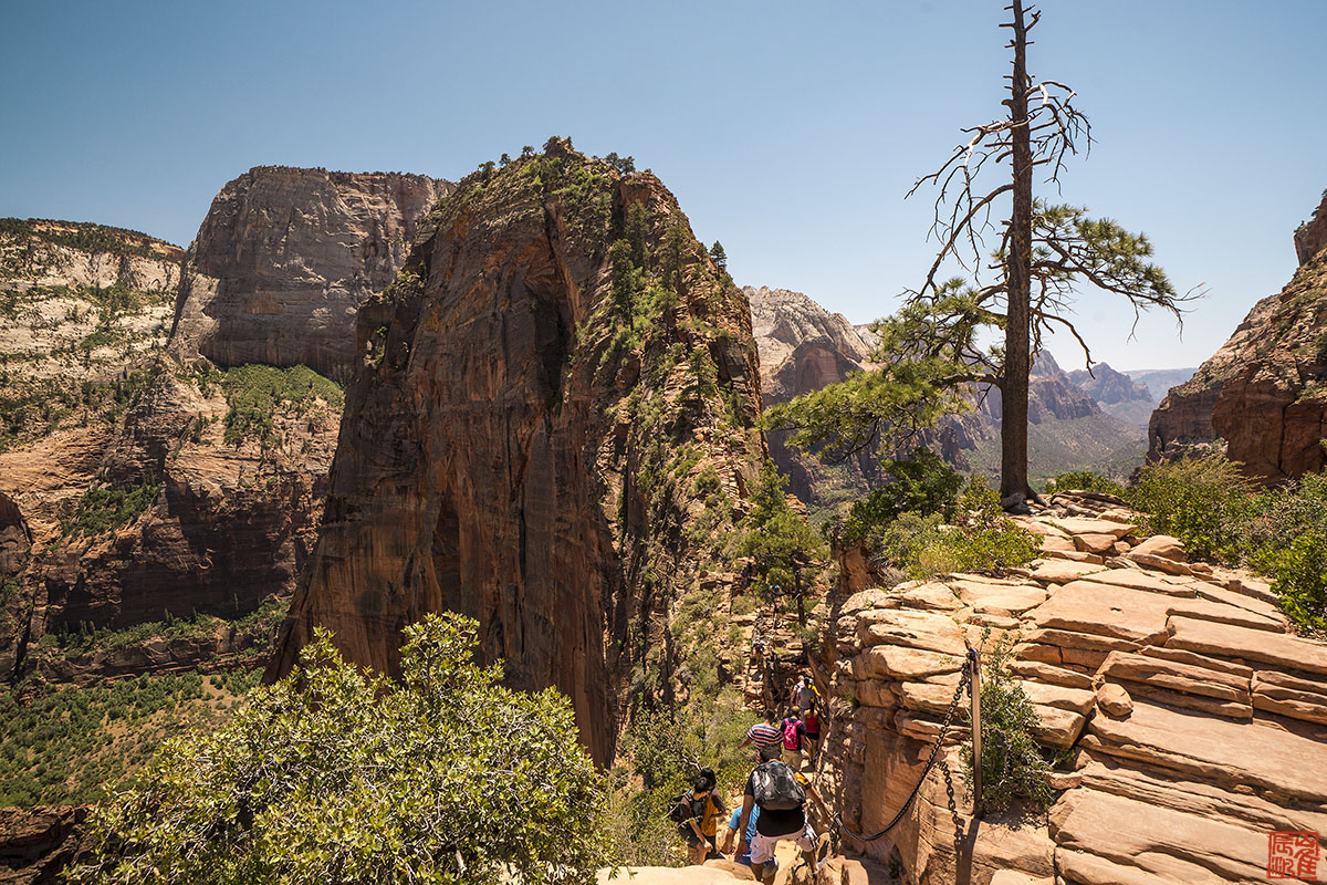 Zion NP06b.jpg