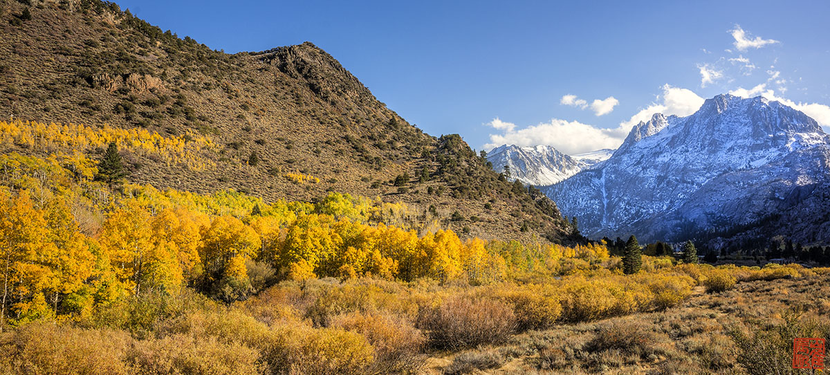 Bishop June aspen 04.jpg