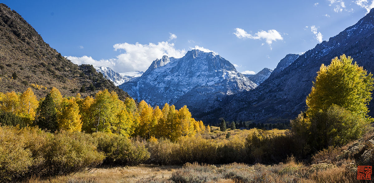 Bishop June aspen 04-2.jpg