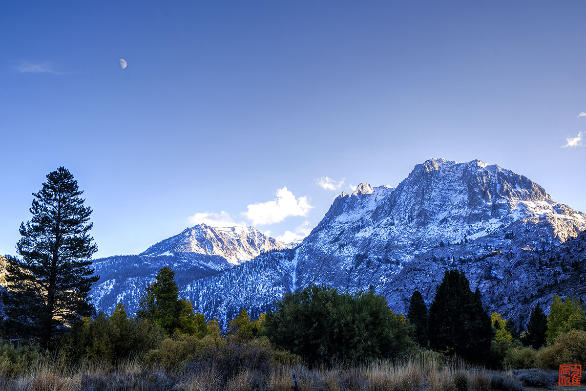 Bishop June aspen 04-3.jpg