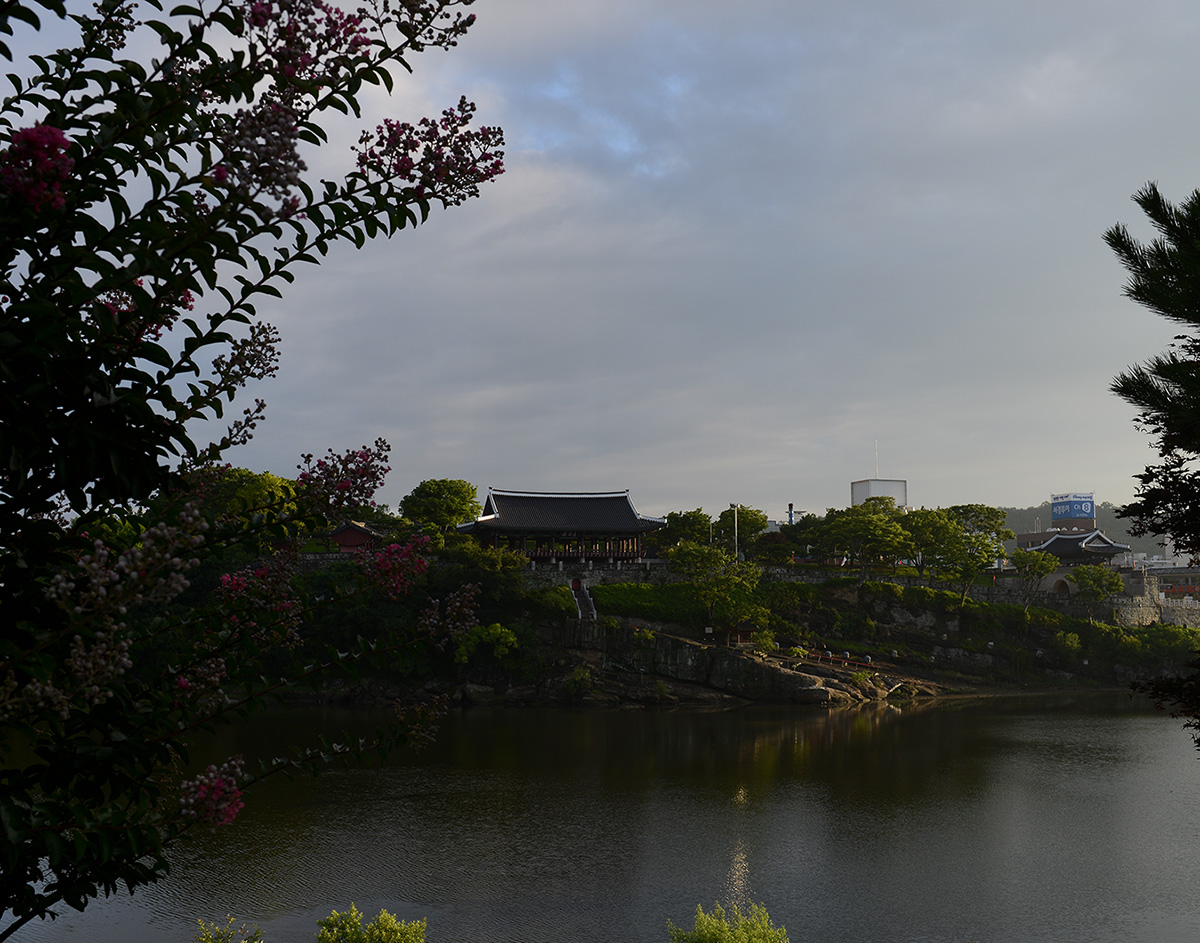 W-PD8_0864-11r.jpg