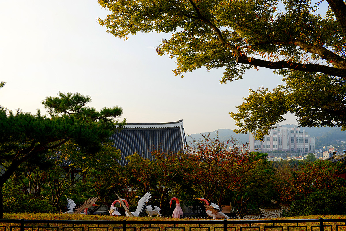W-141016-_HDR2-h-1.jpg