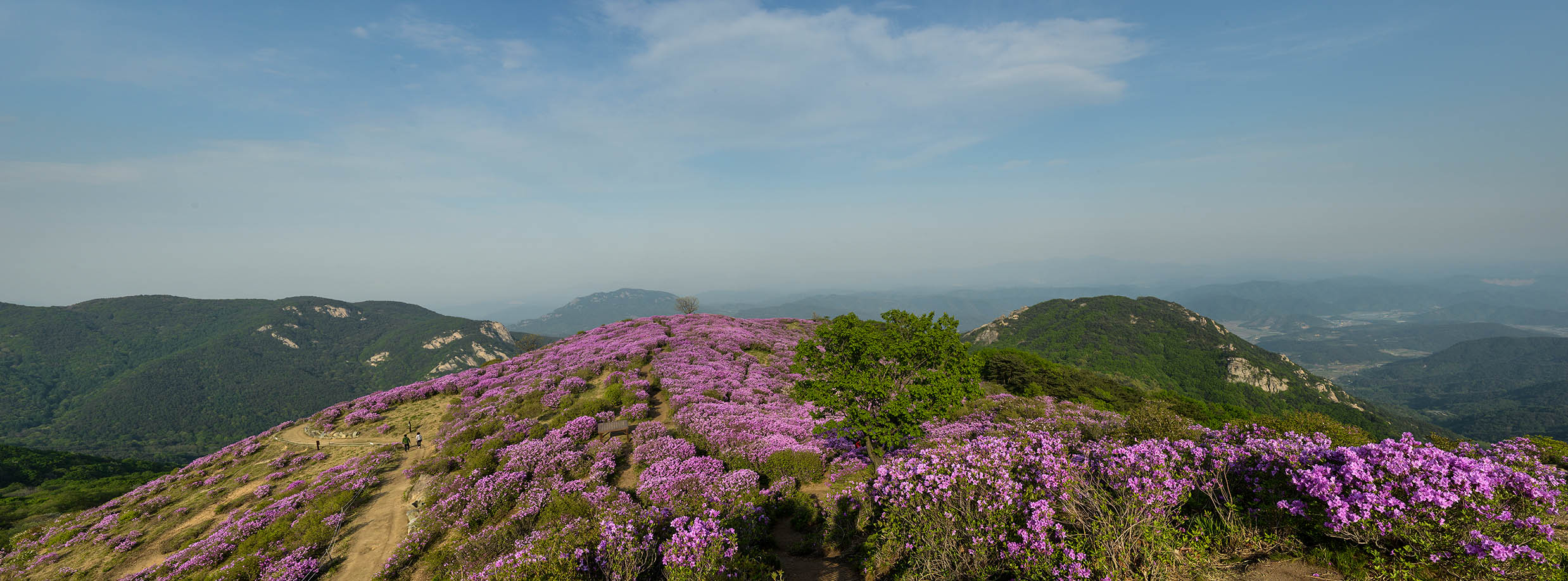 W-150507-_Panorama-2.jpg