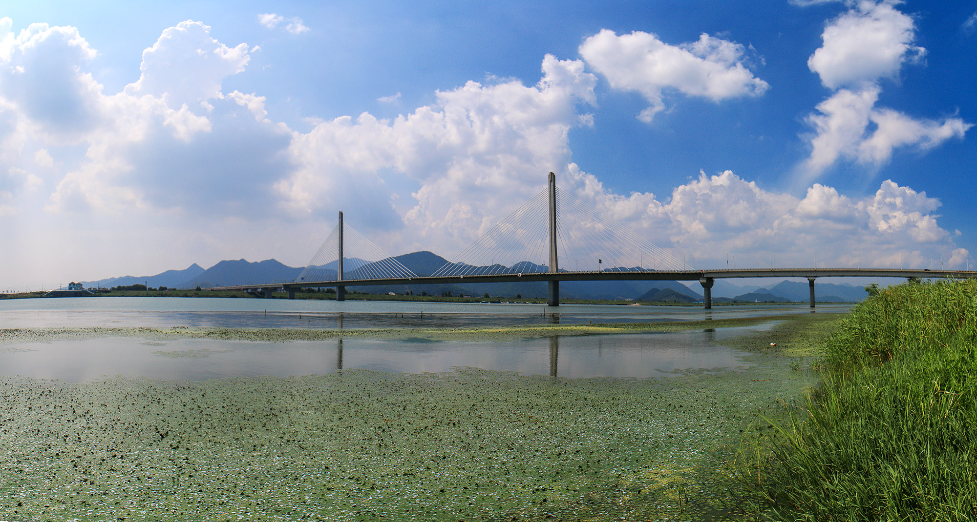 4화명대교_Panorama1.jpg