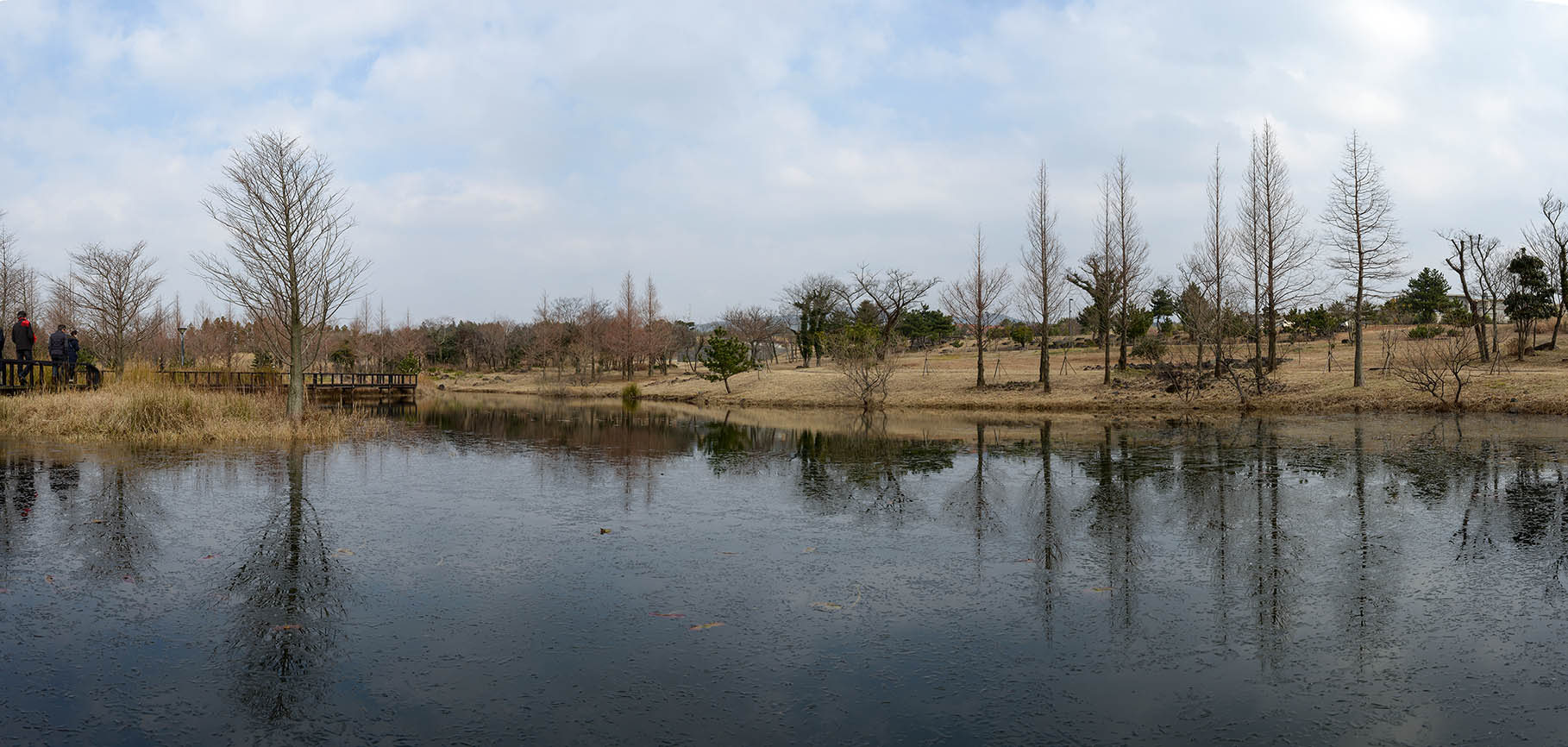 W-160115-_Panorama-9.jpg