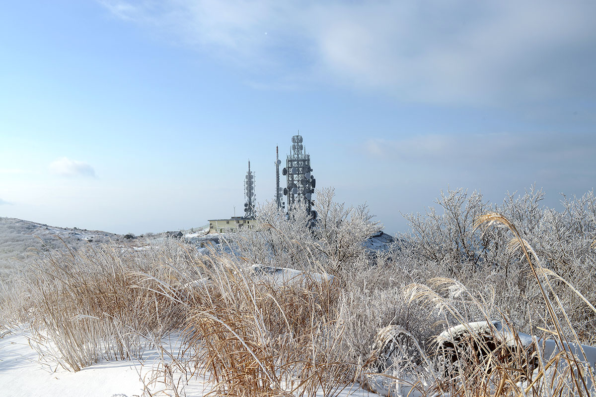 W-PD8_5680-.jpg