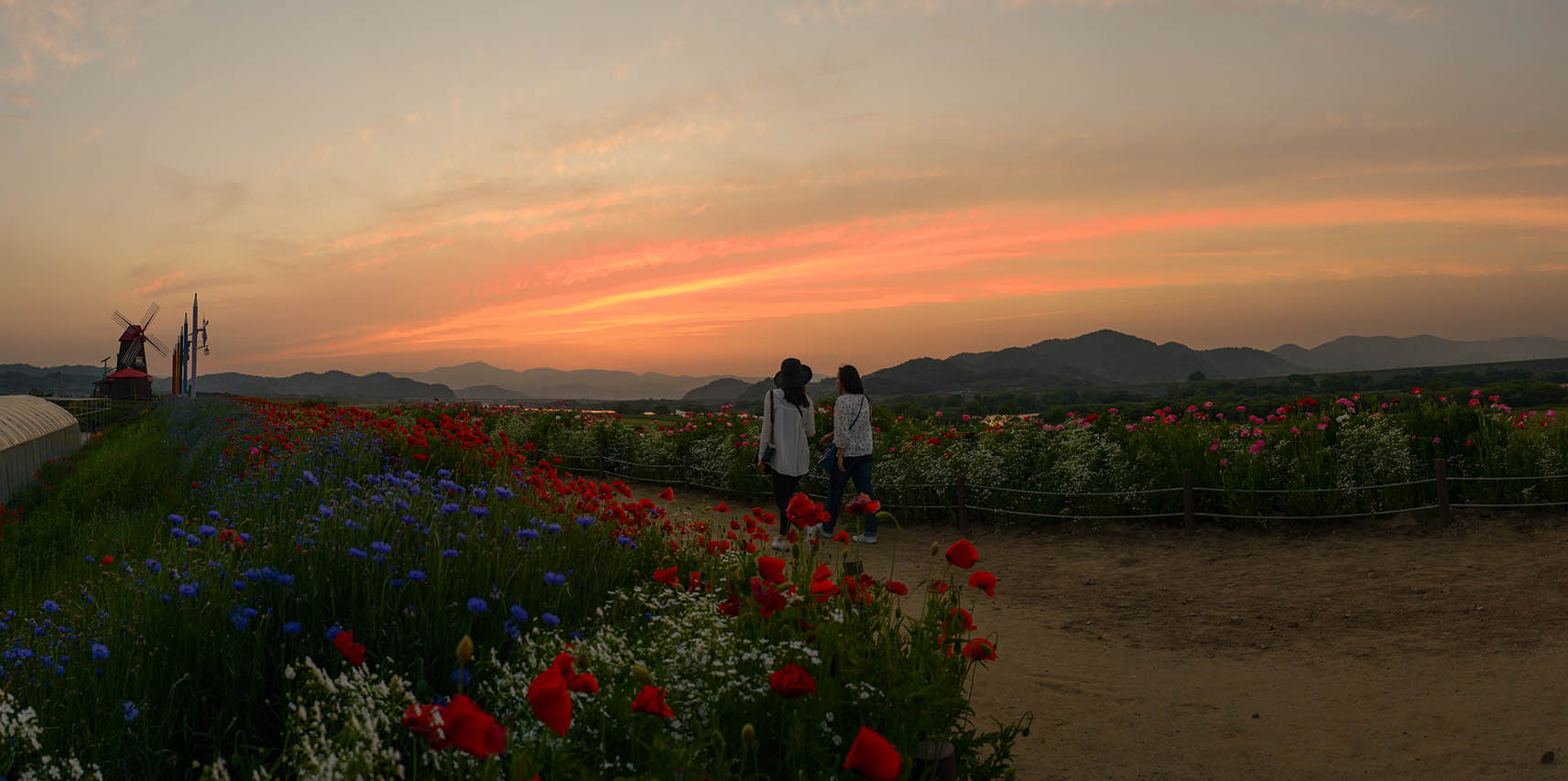 W-160519-_Panorama-3-.jpg