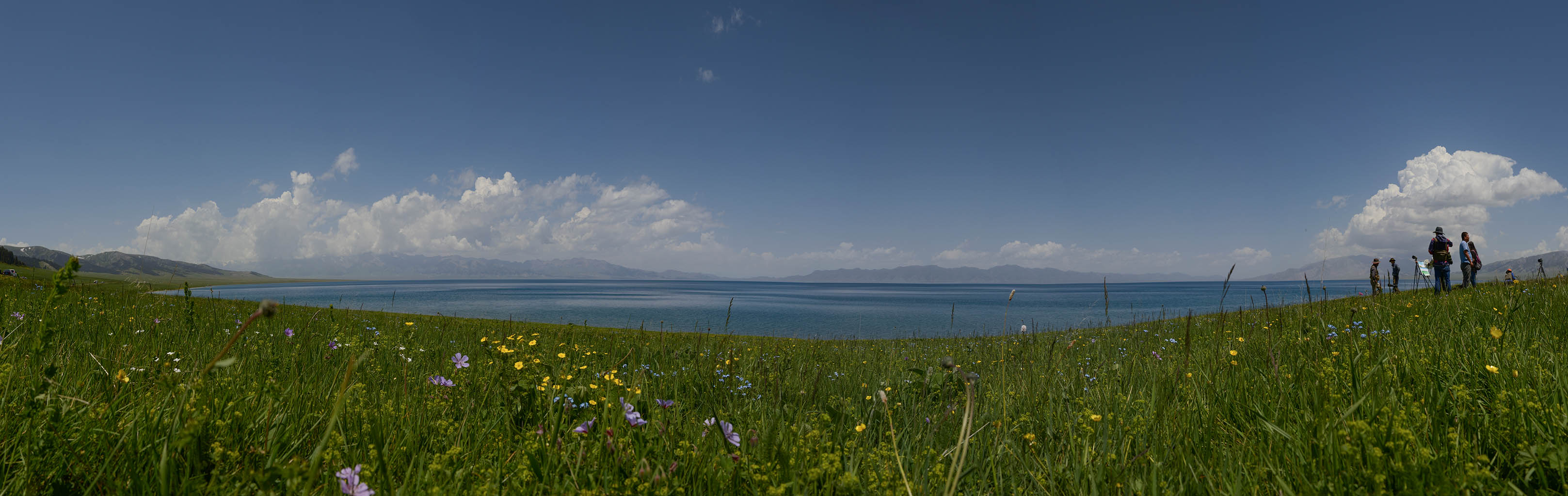 W-160609-_Panorama-6.jpg