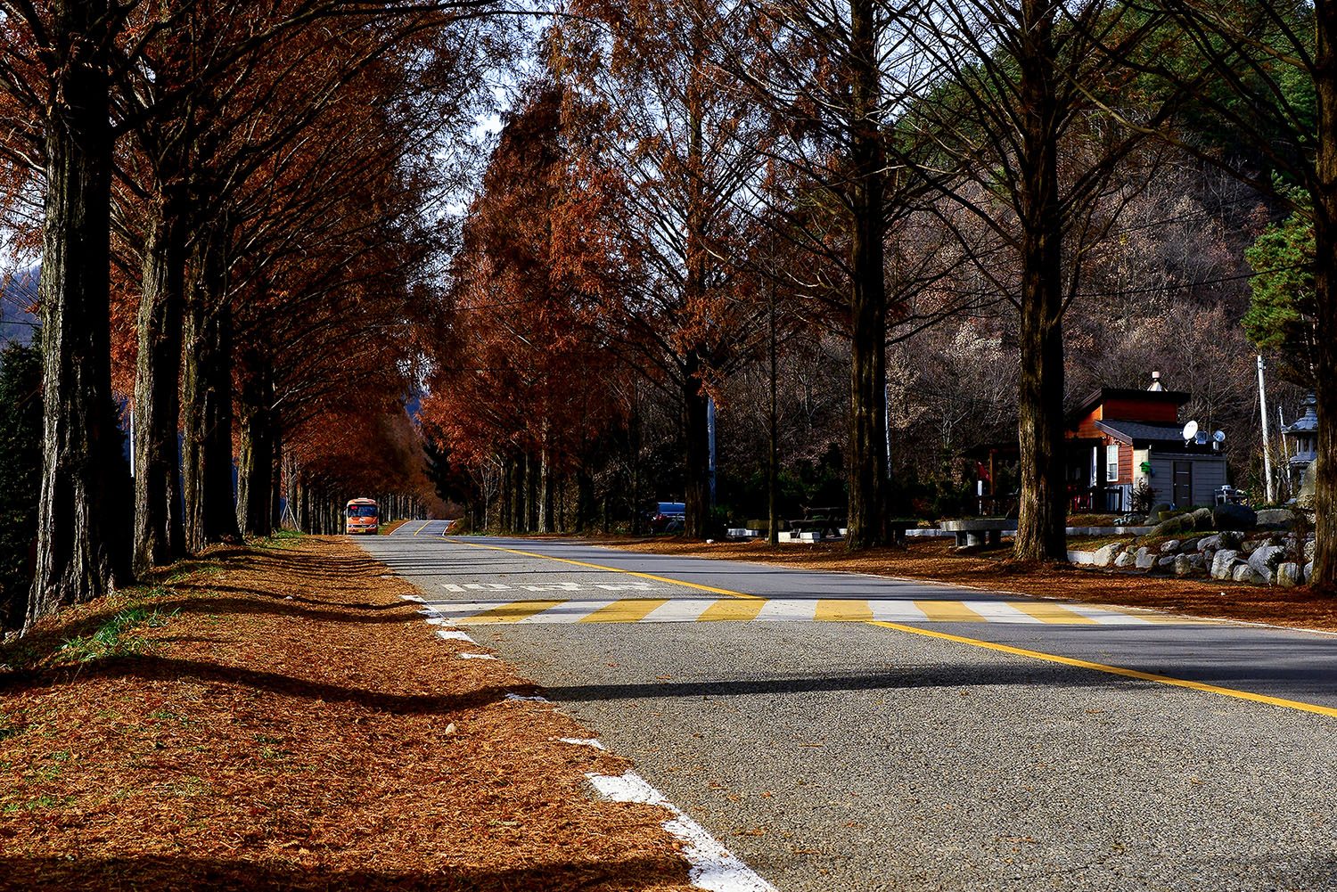 W-PD8_0174-C.jpg