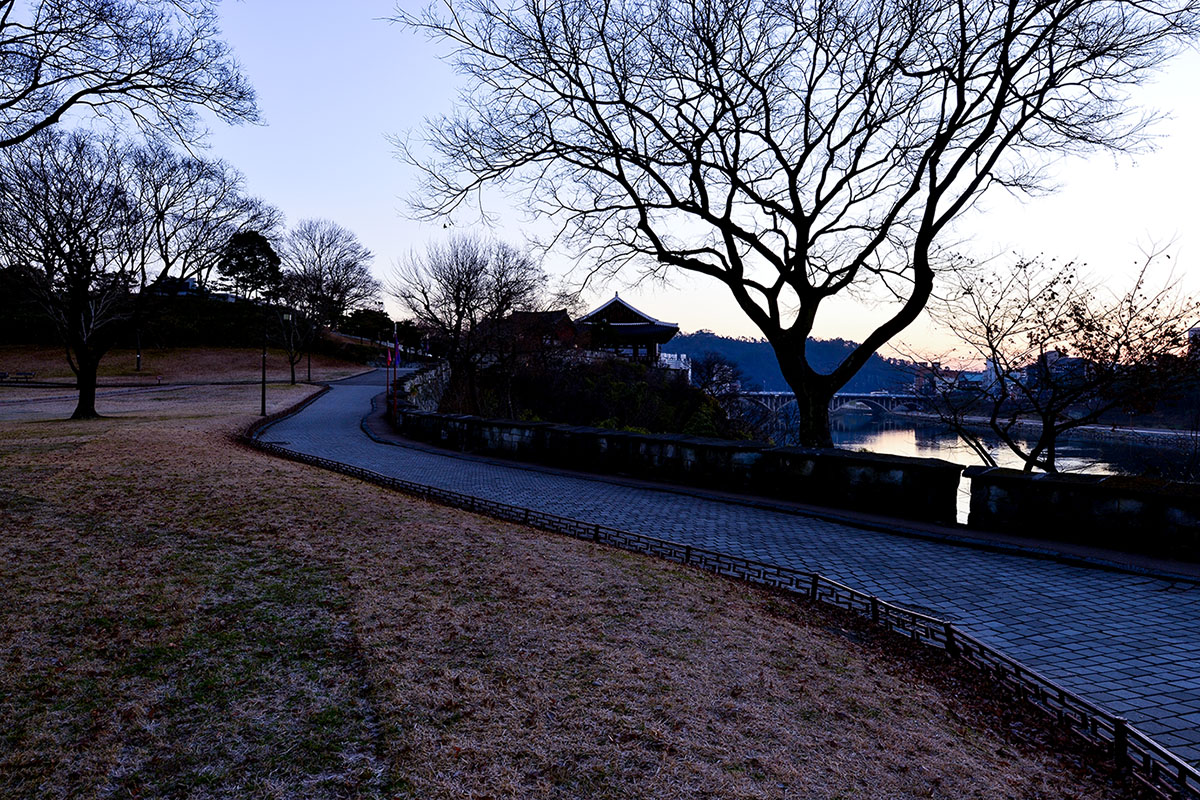 ㅉ-PD8_2416-.jpg
