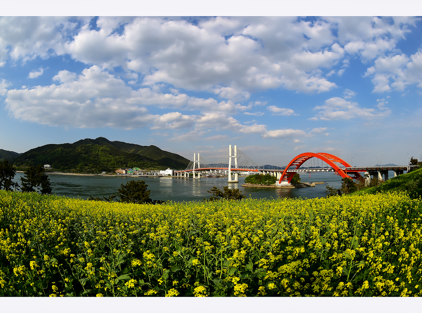 DSC_6056 남해3.jpg