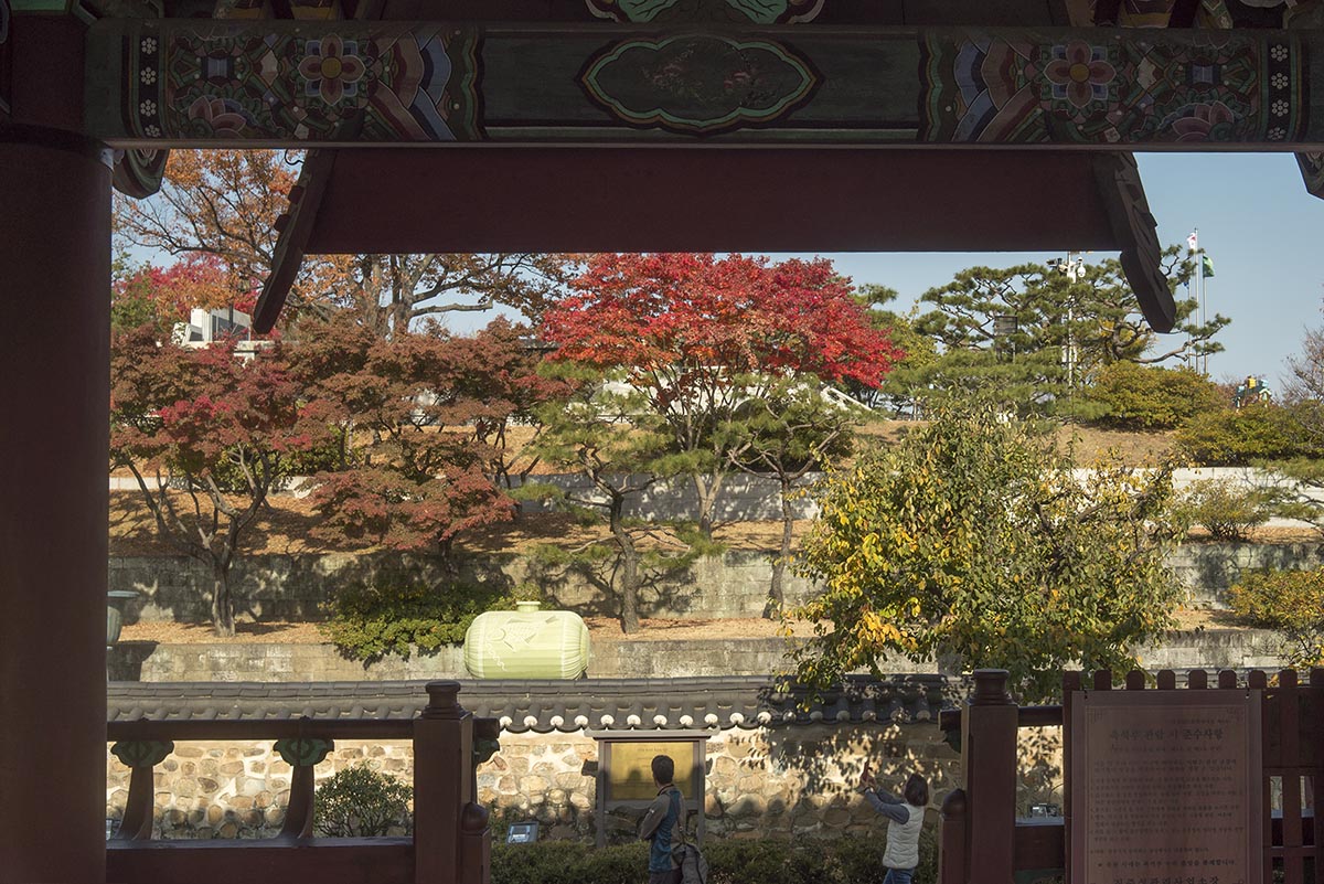 W-L1038880-C.jpg