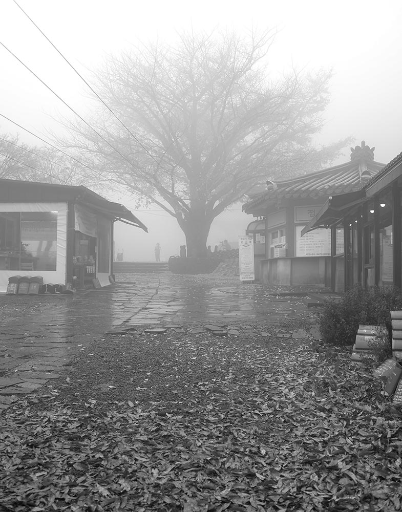 W-BW-L1039128-11r.jpg