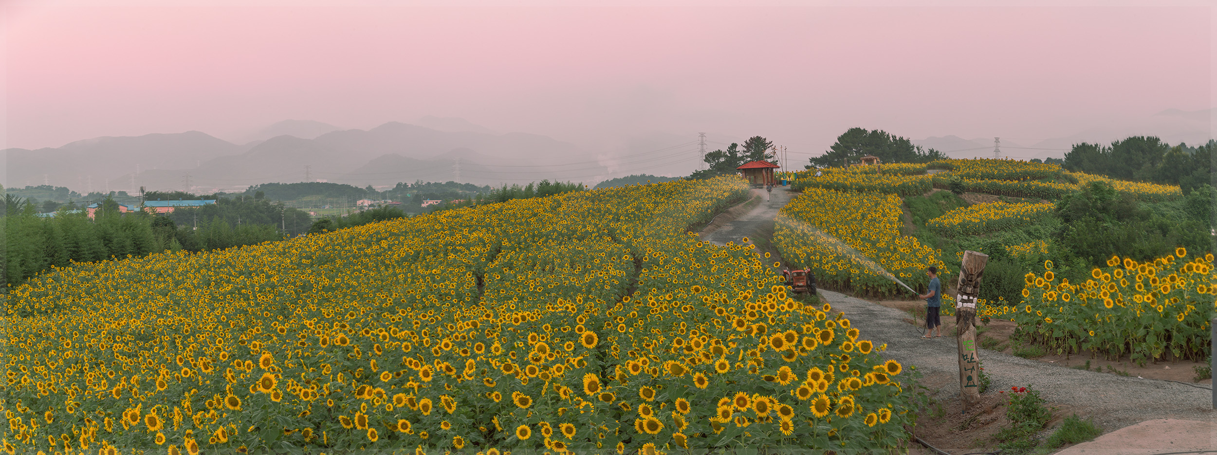 강주리_파노라마1a.jpg