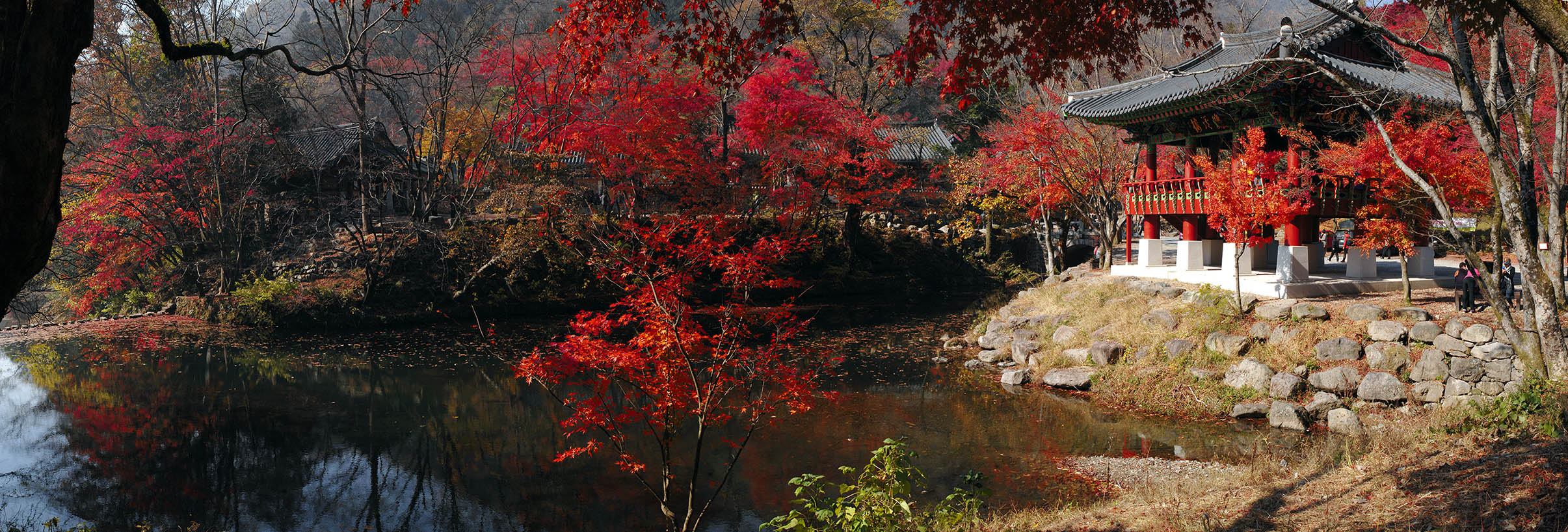 W-121109_Panorama1.jpg