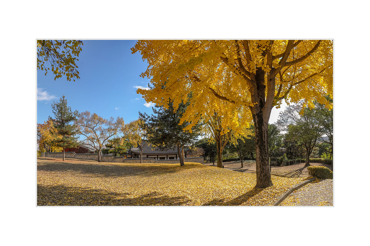 W-191119-_Panorama-23-C-4.jpg