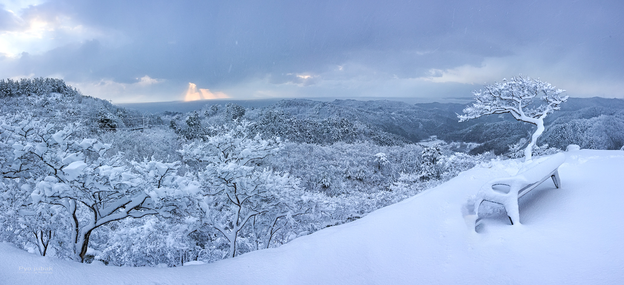 도화동산6.jpg