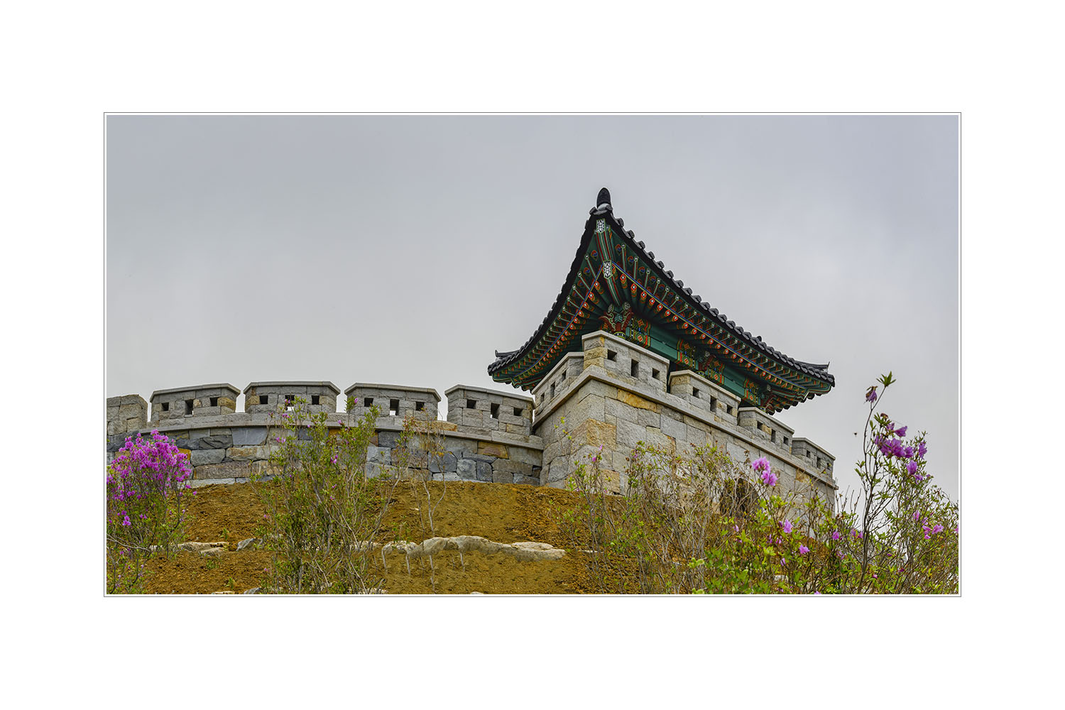 W-200517-_파노라마-2-50-C-2.jpg