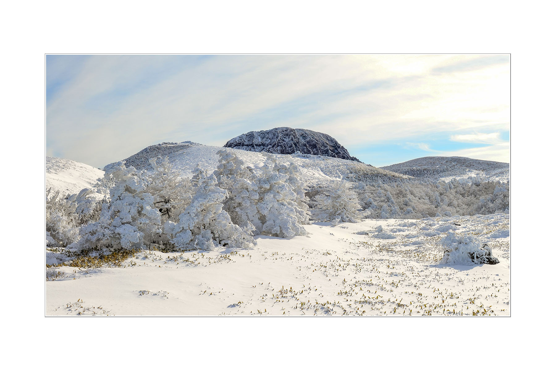 W-170125-_Panorama-1-C-3-.jpg