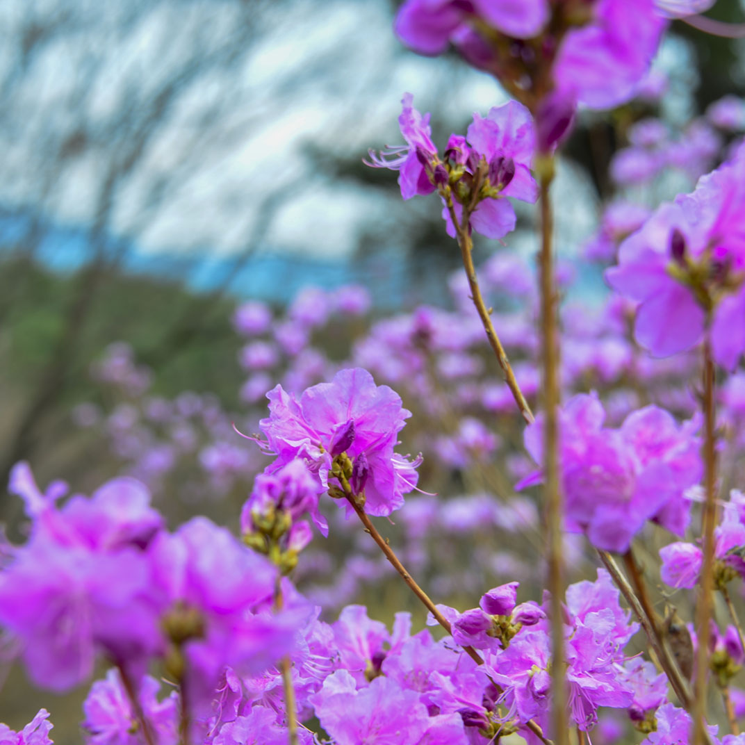 W-_P8D7129-C.jpg