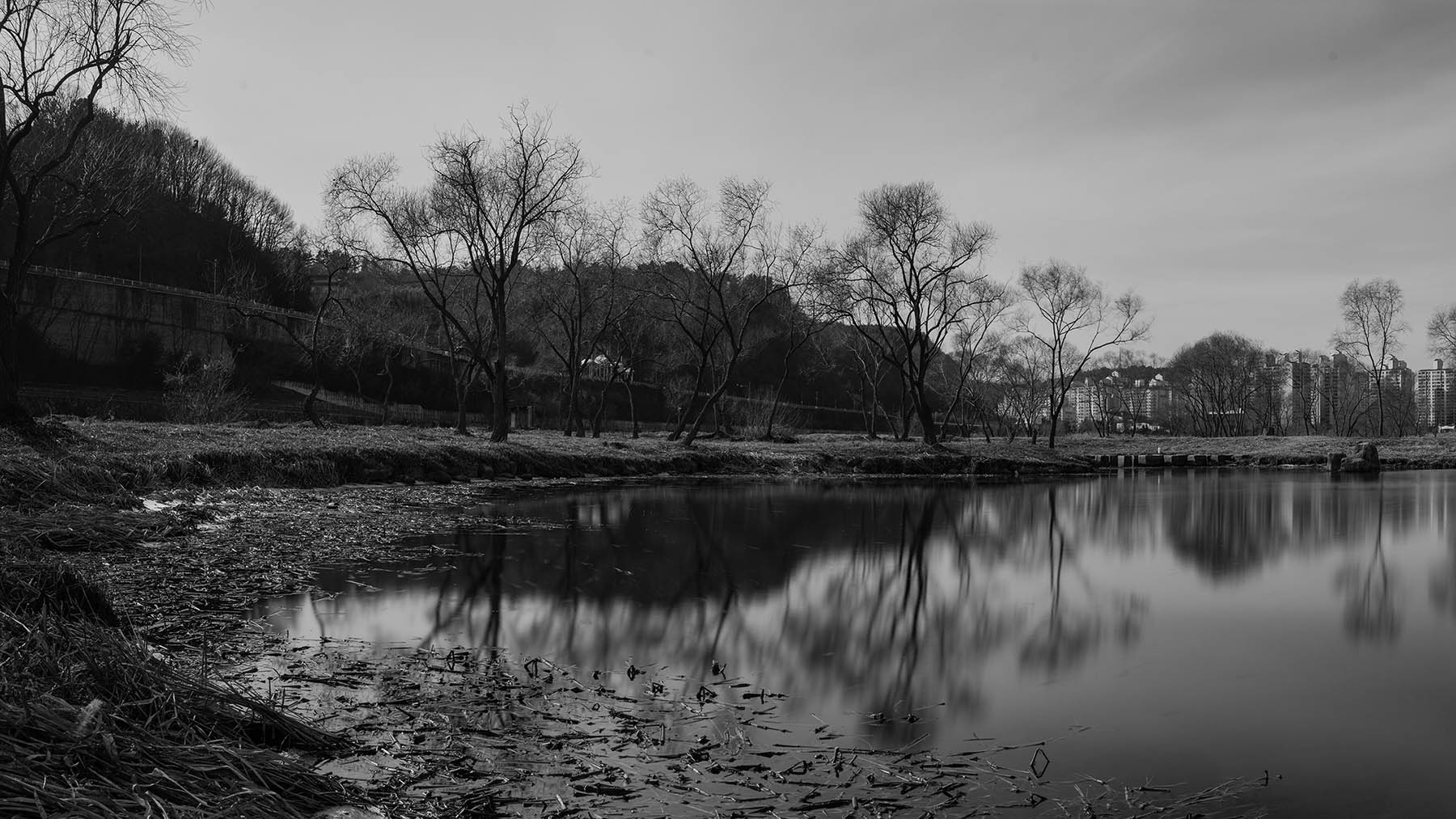 W-BW-230123-_Panorama-1-35-C-2.jpg