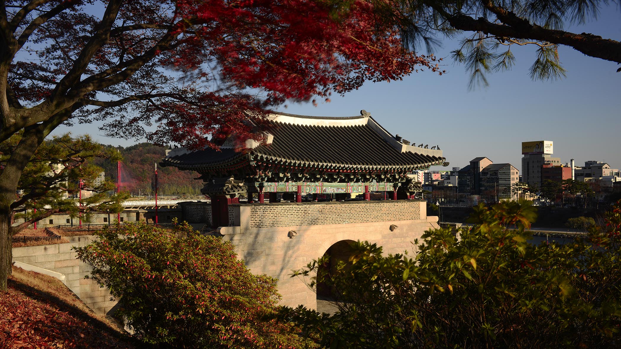 W-PE8_3499.jpg