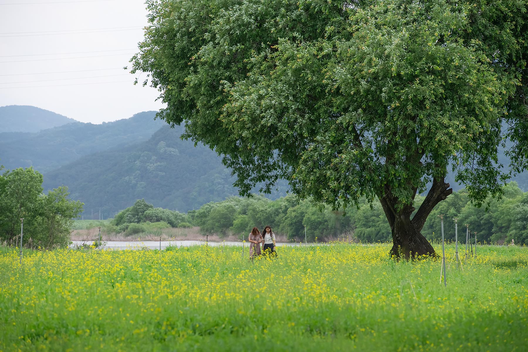 W-_P8D7010.jpg