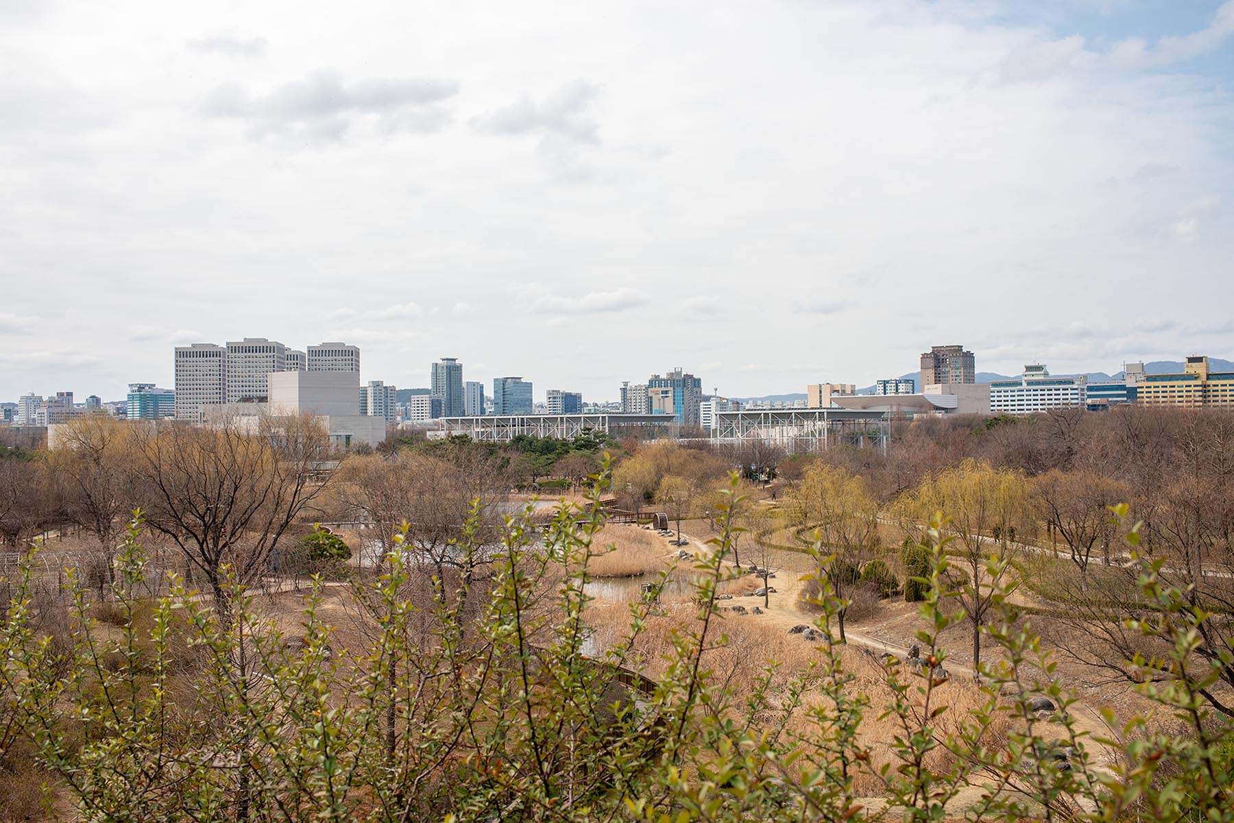 W-_P8D8329.jpg