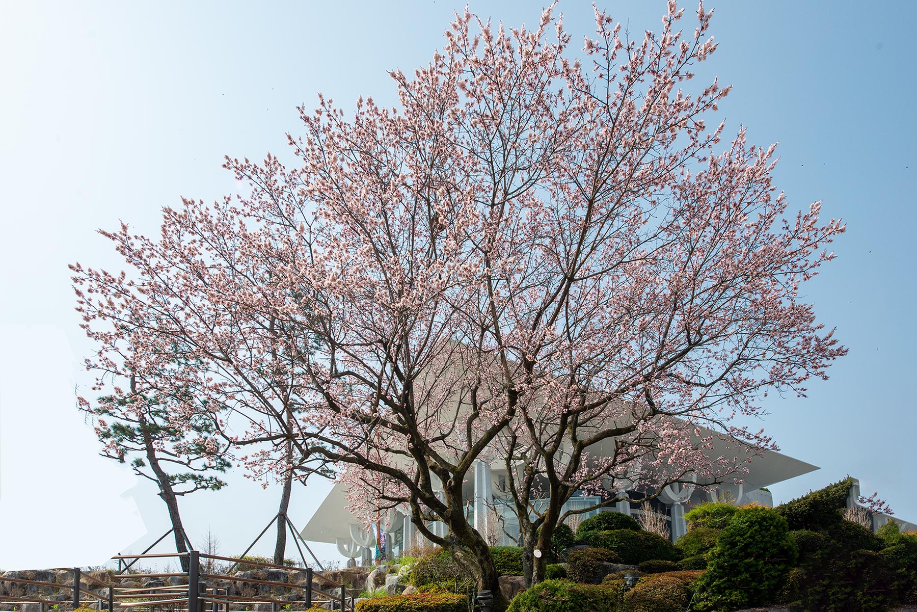W-PE8_7441-C.jpg