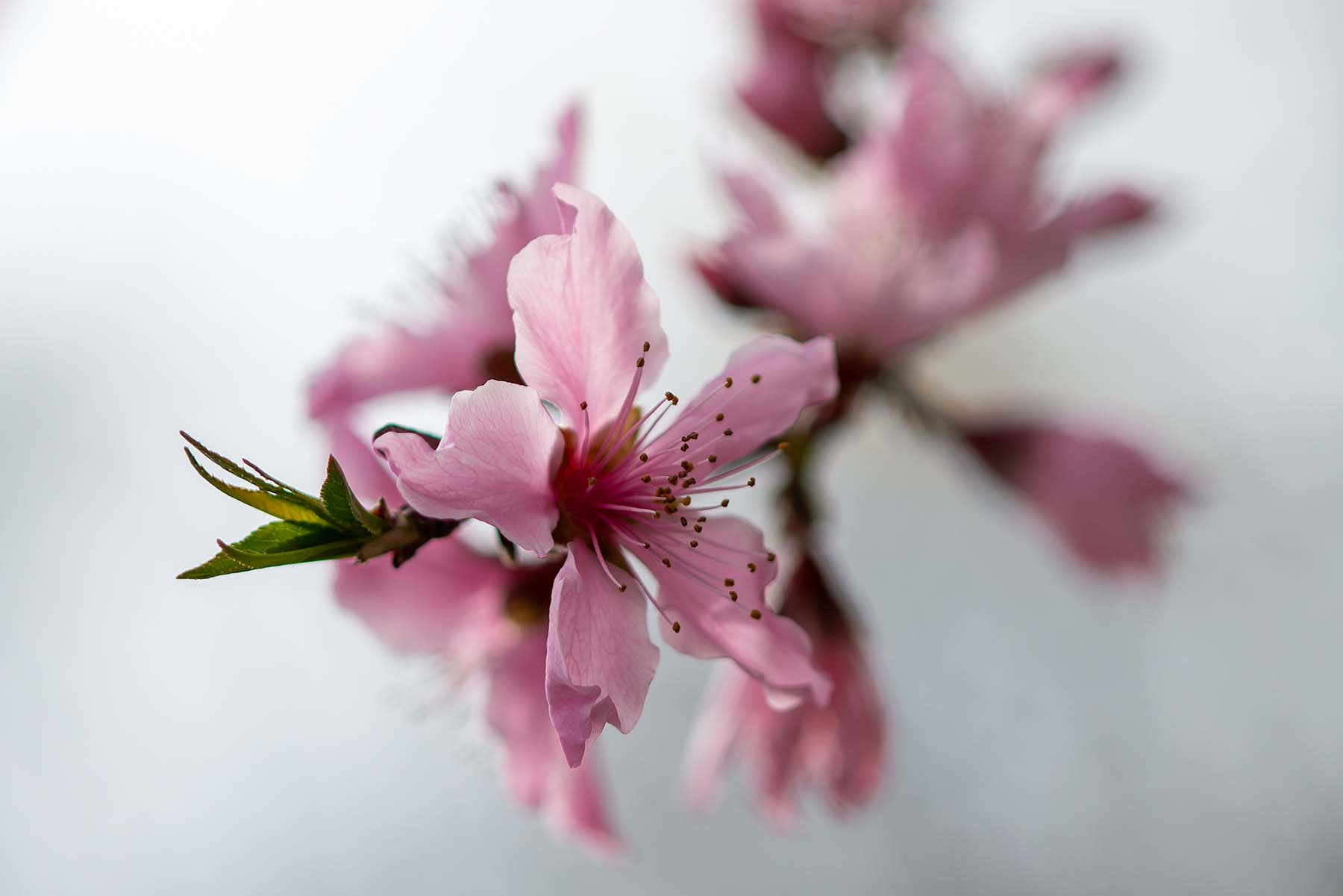 W-_P8D9740-C-2.jpg