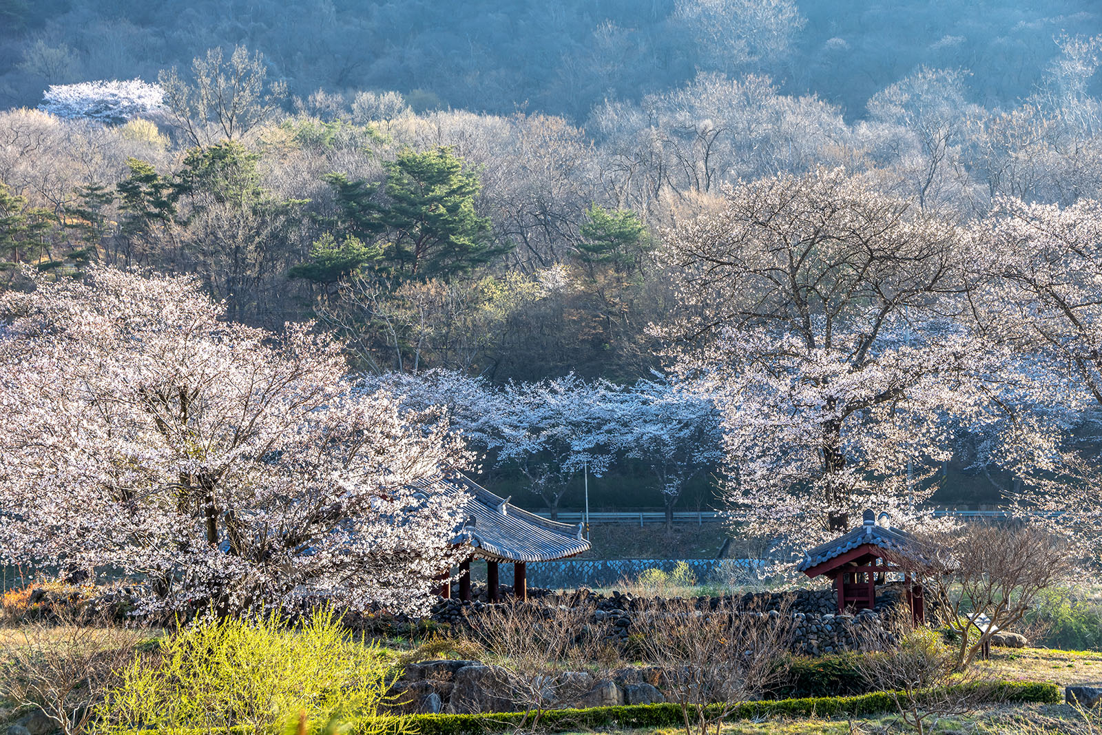 589A6201-HDR.jpg