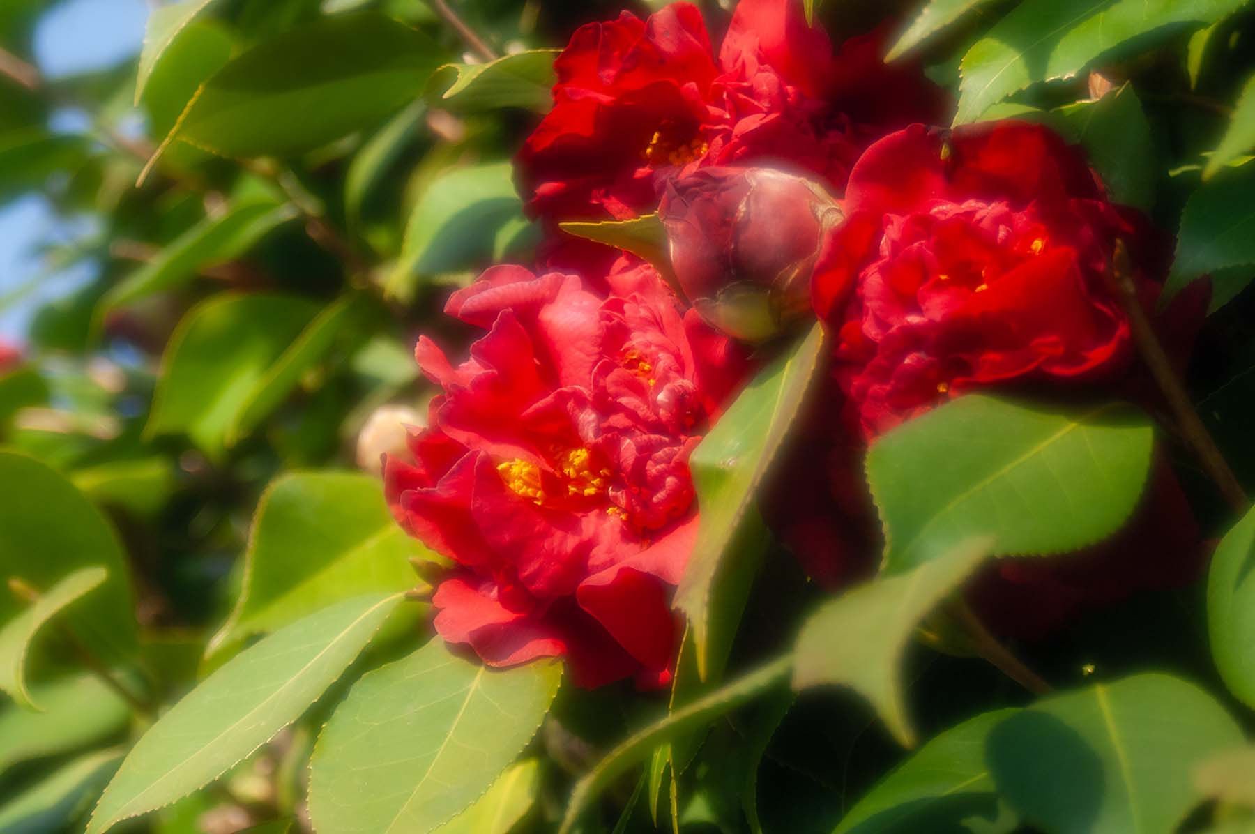 W-PP2_0005.jpg