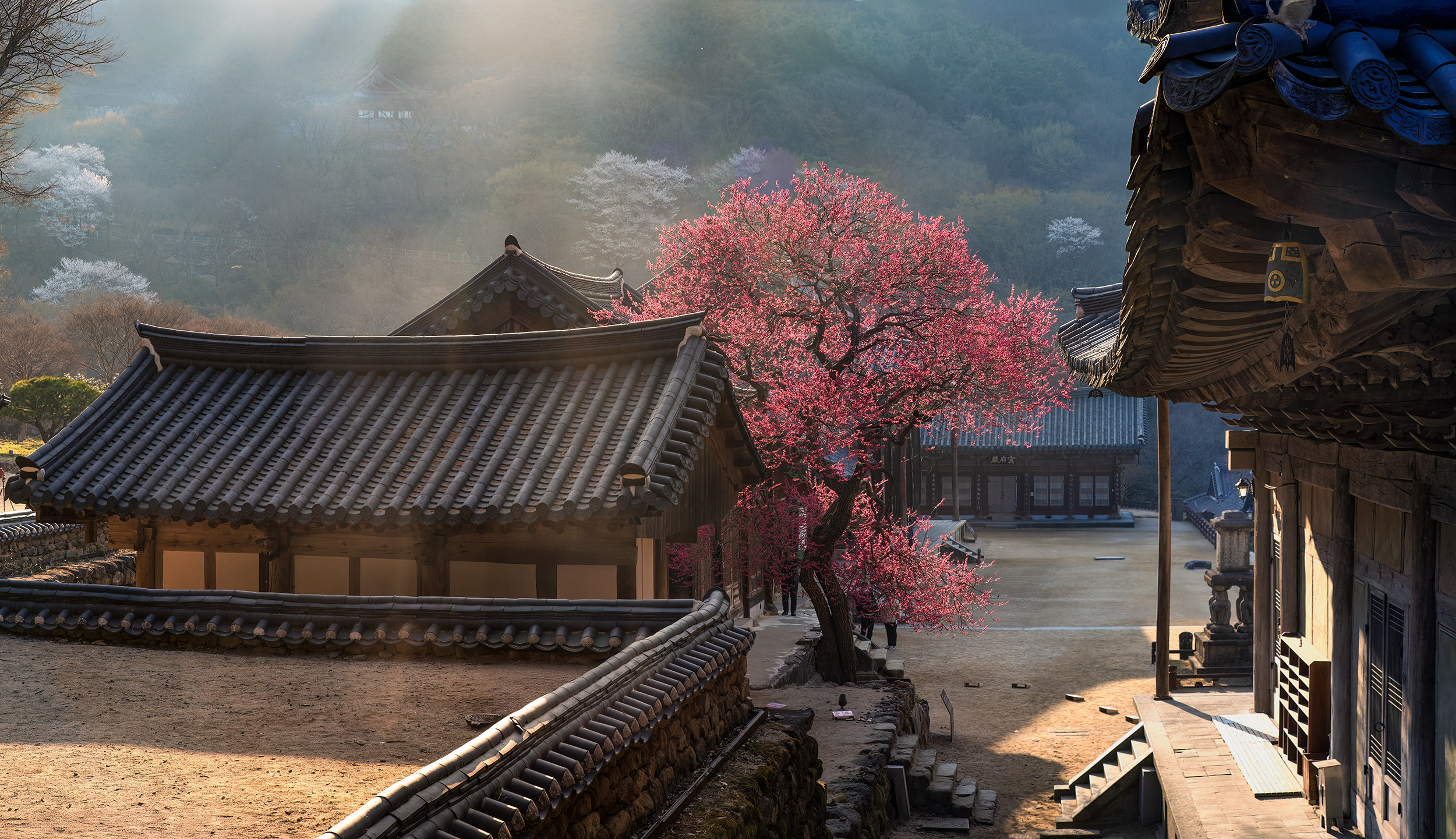 화엄사 _파노라마-2.jpg