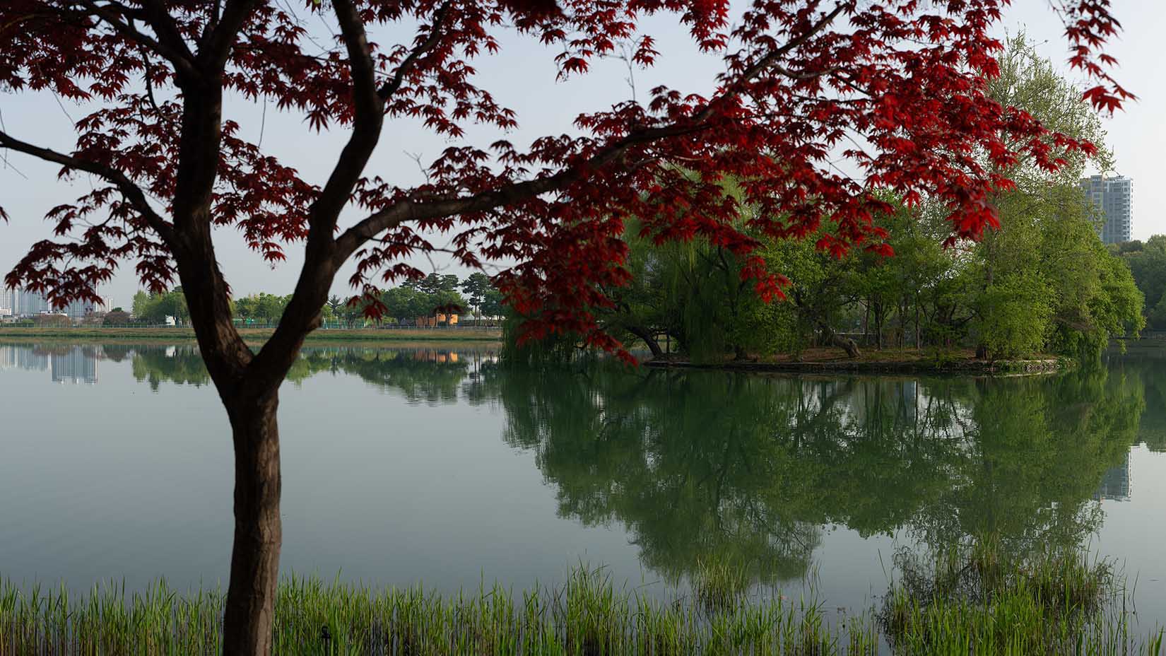 W-250418-_파노라마-3-60-C-4.jpg