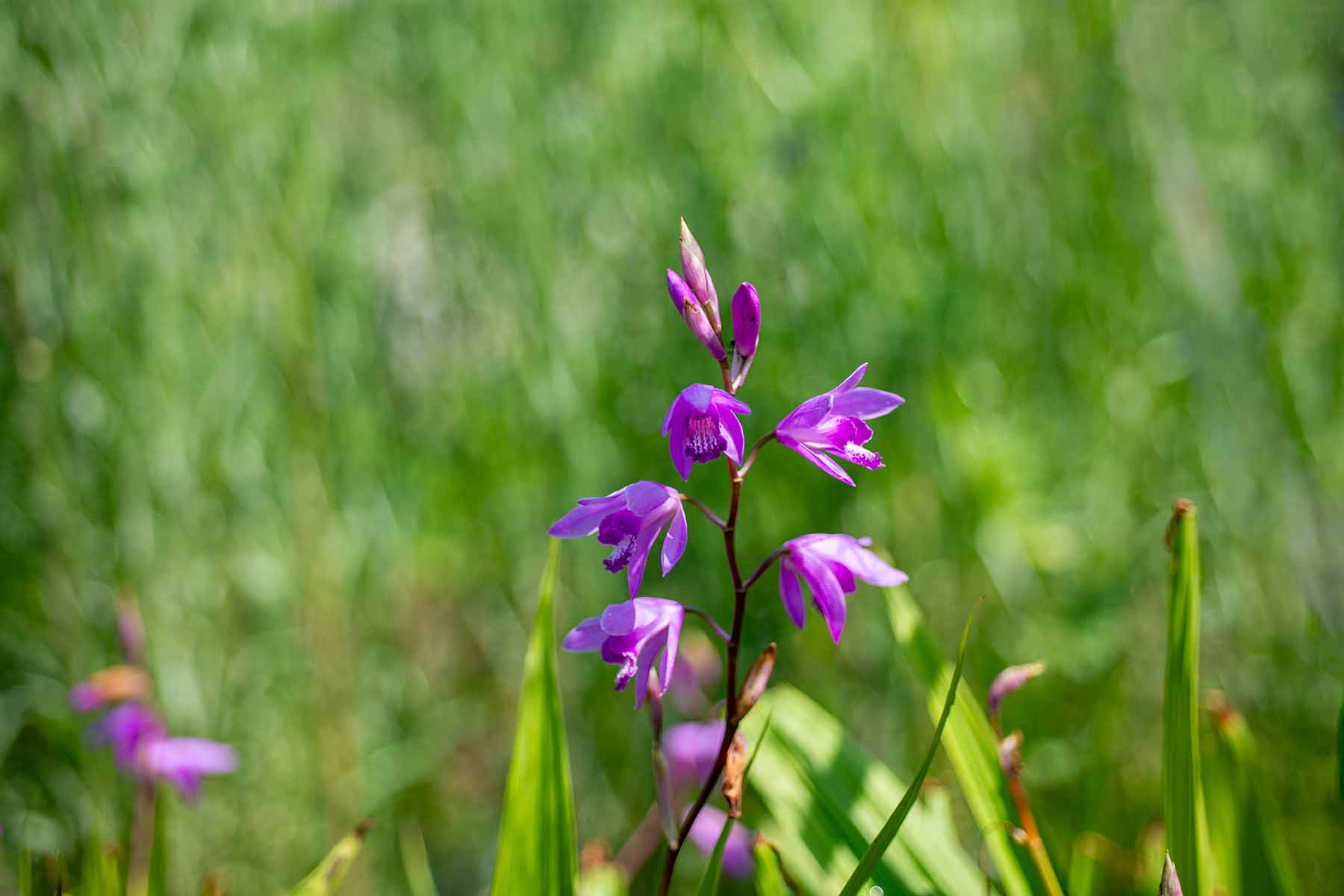 W-_P8D0692.jpg