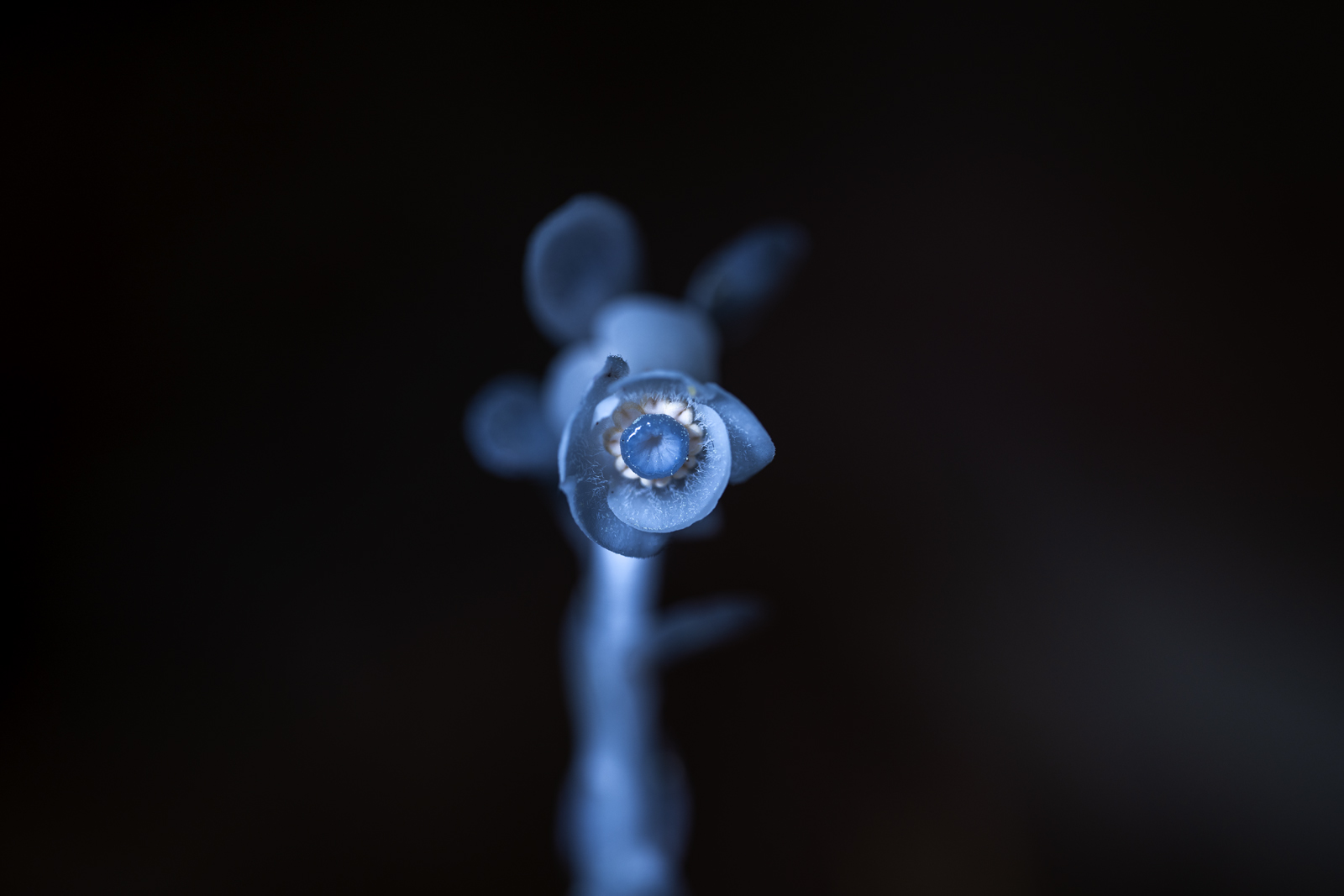 _AAL7125.jpg