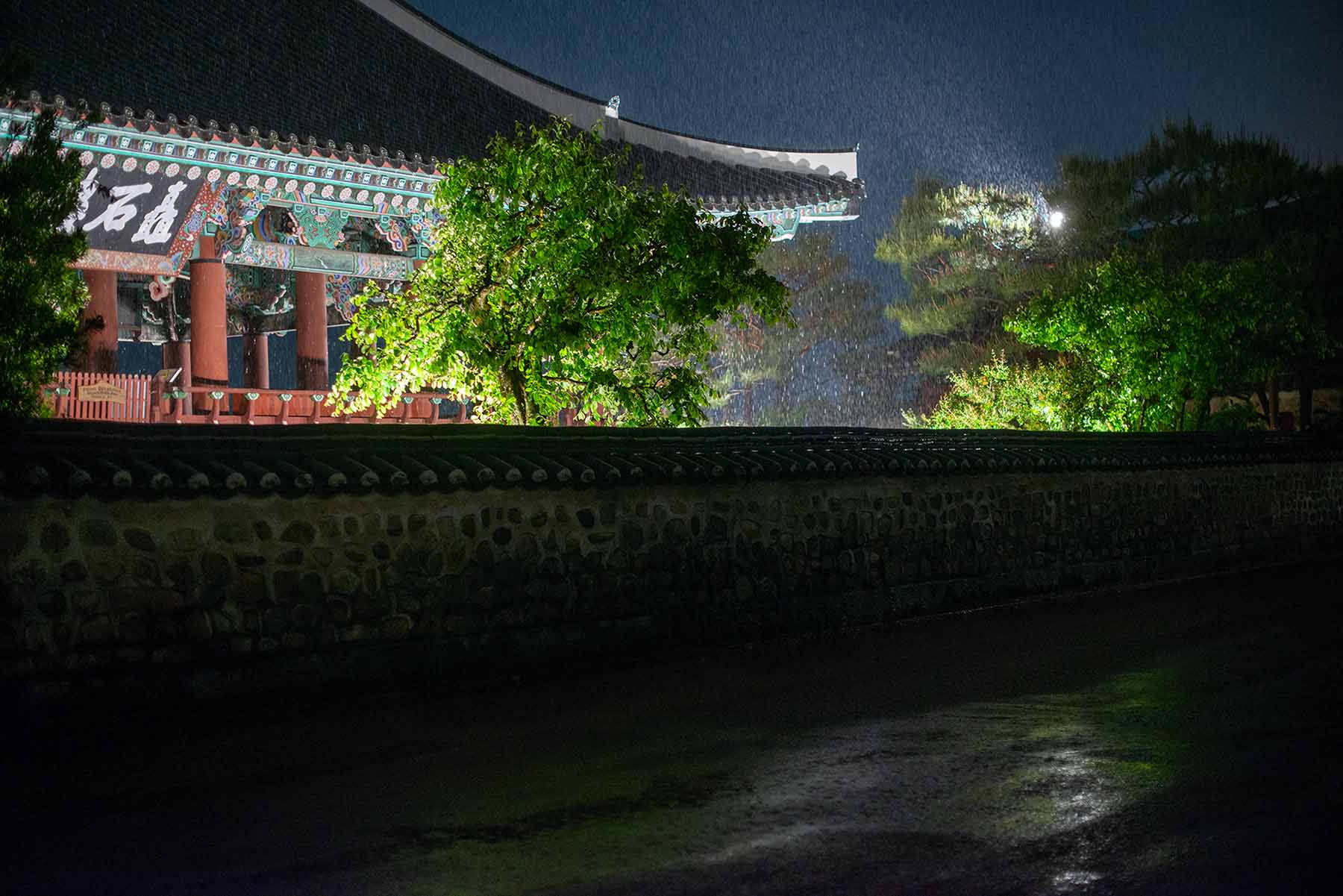 W-_P8D1166.jpg