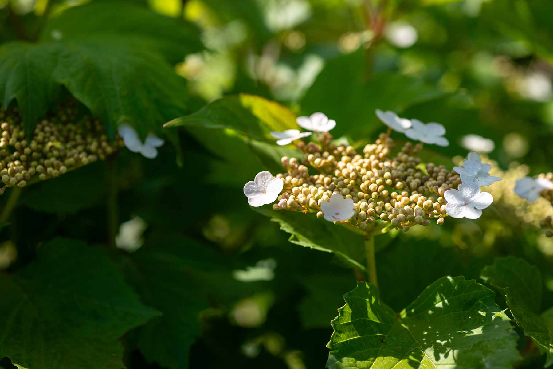 W-_P8D0624.jpg