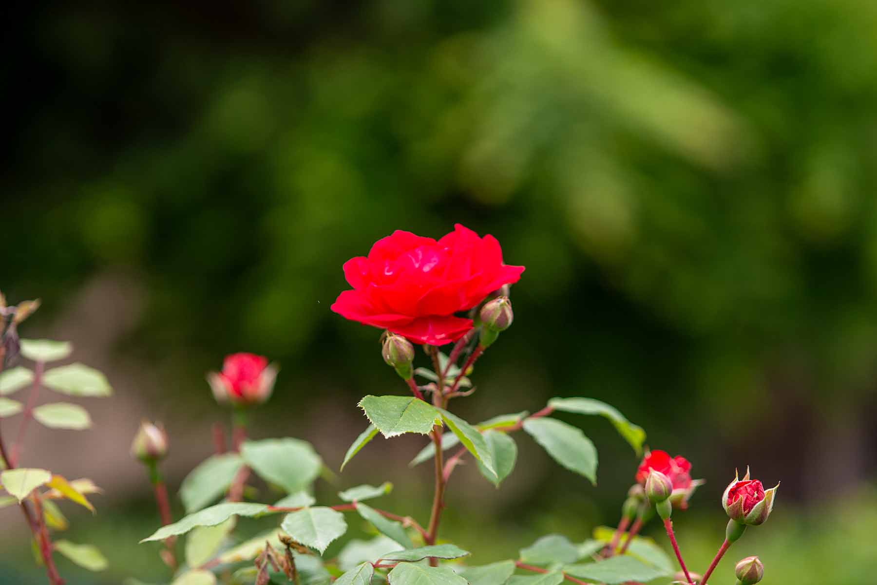 W-_P8D0839.jpg