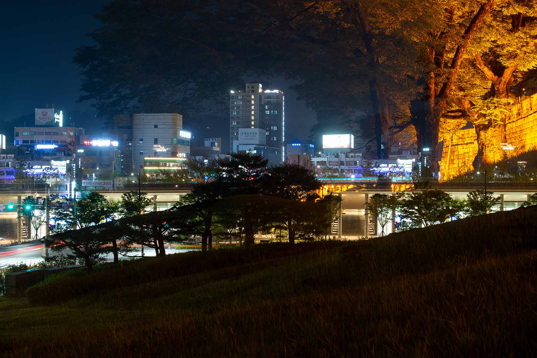 W-_P8D1731.jpg