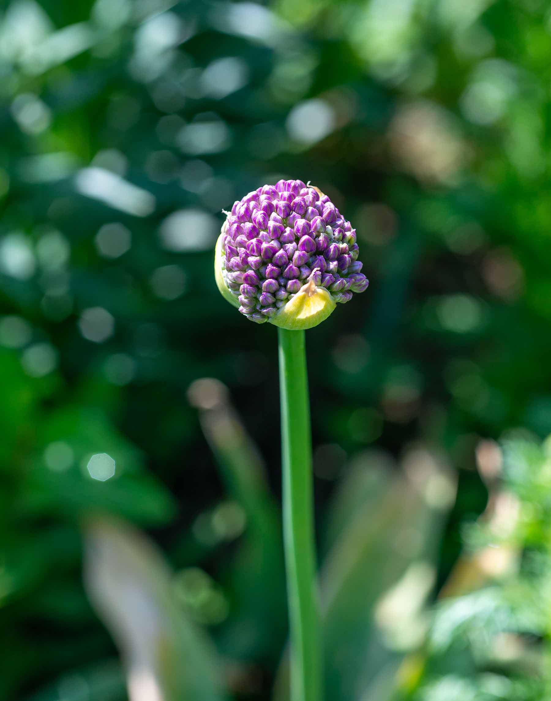 W-_P8D0662.jpg