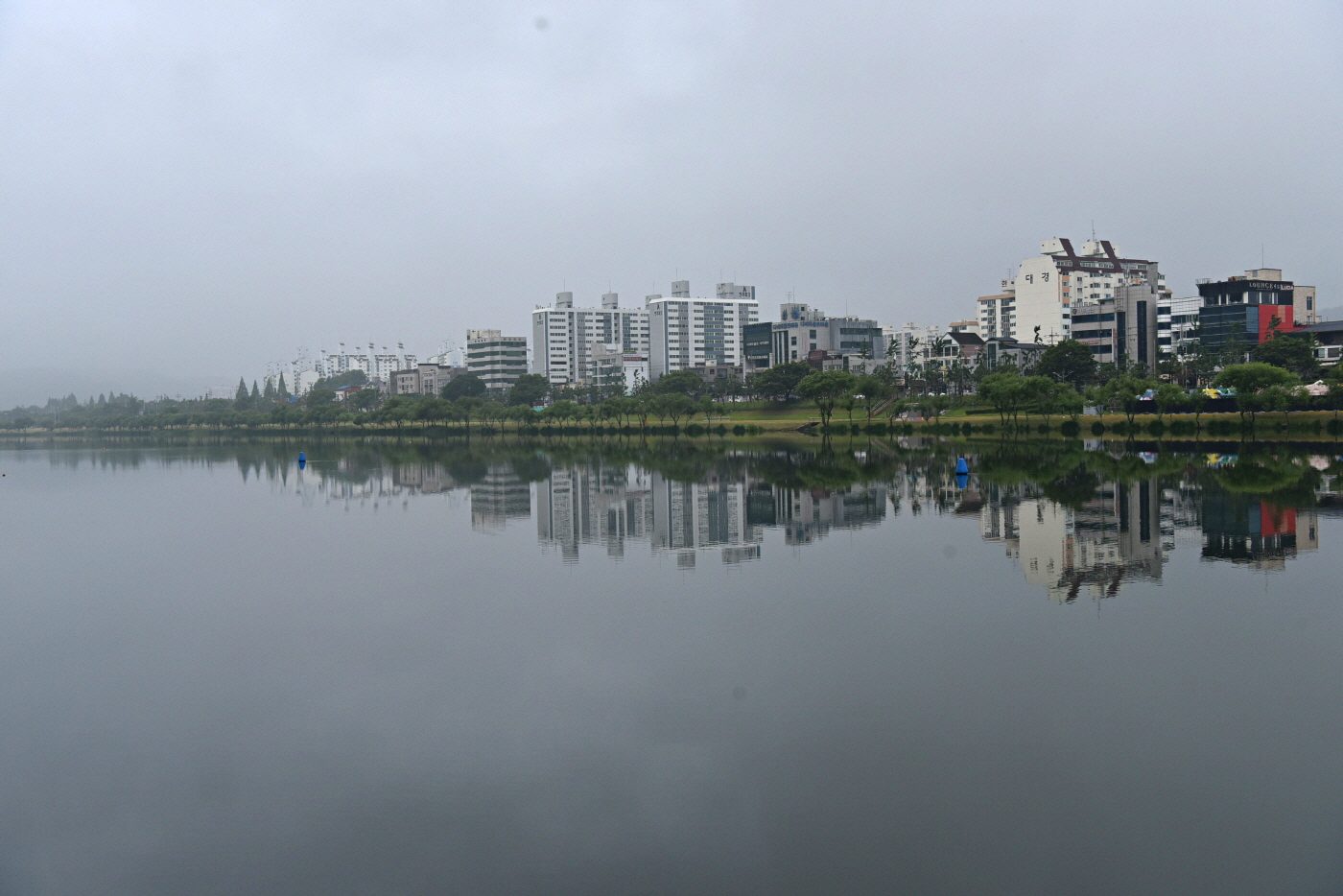 DSC_0247.JPG