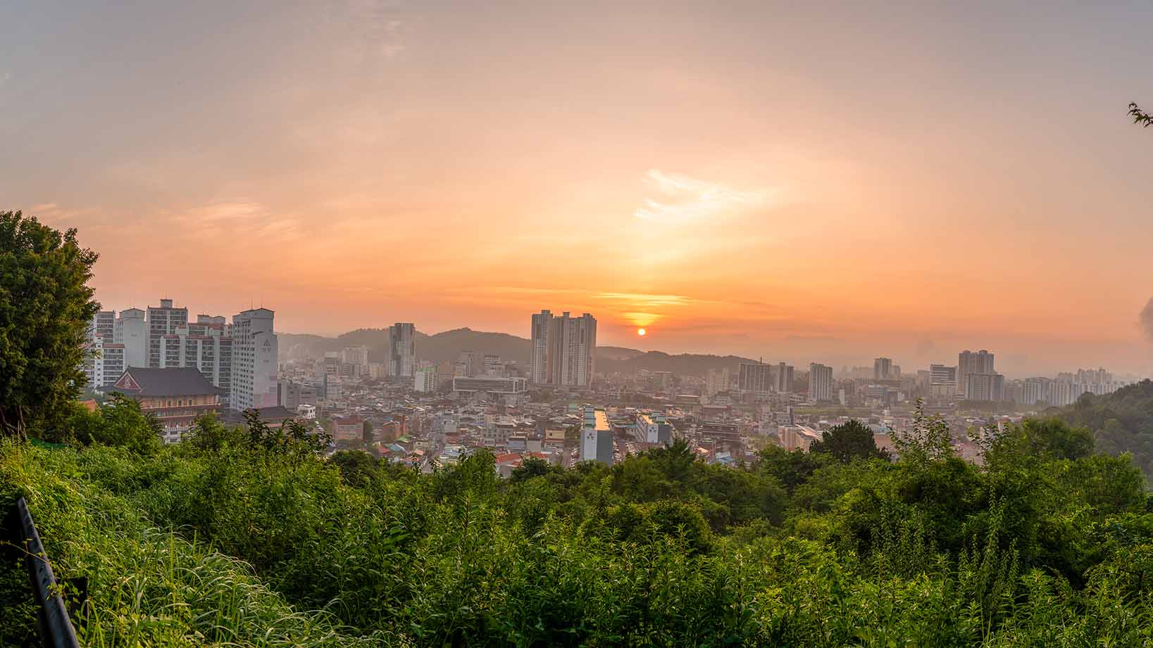 W-250723-1-35-Pano 복사-C-2.jpg