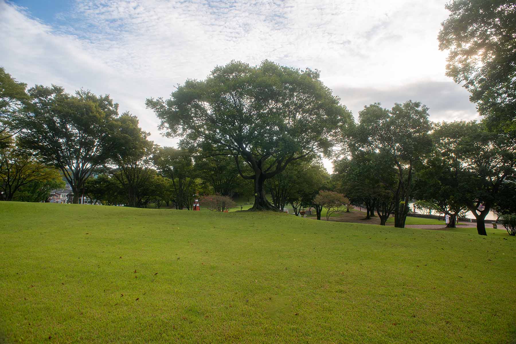 W-PE8_3470.jpg