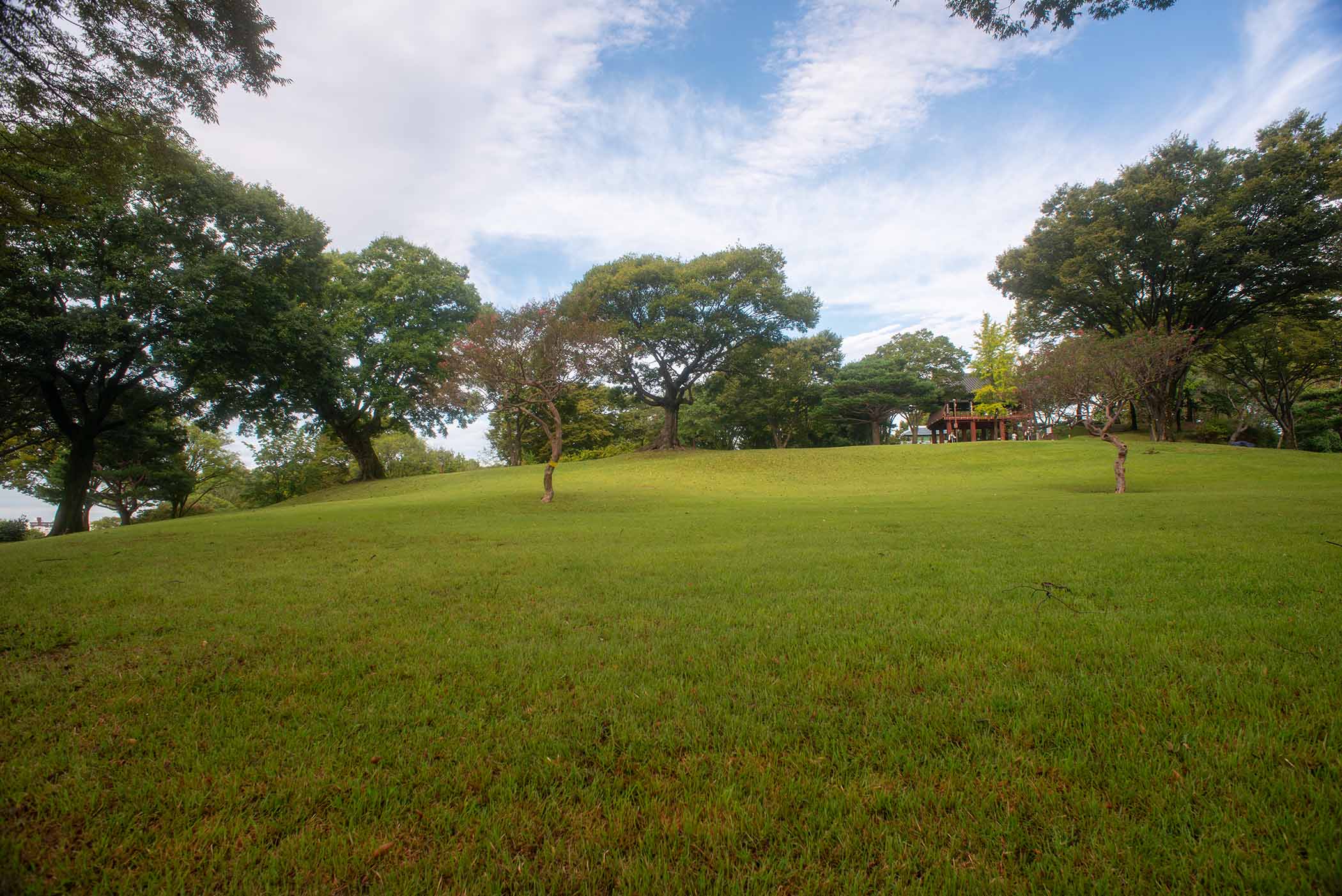 W-PE8_3480.jpg