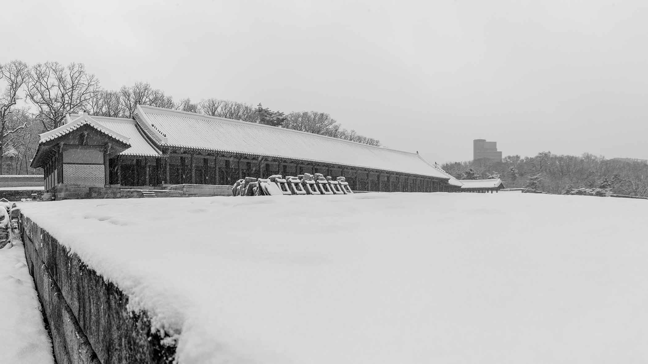 W-BW-250105-11-35-Pano.jpg