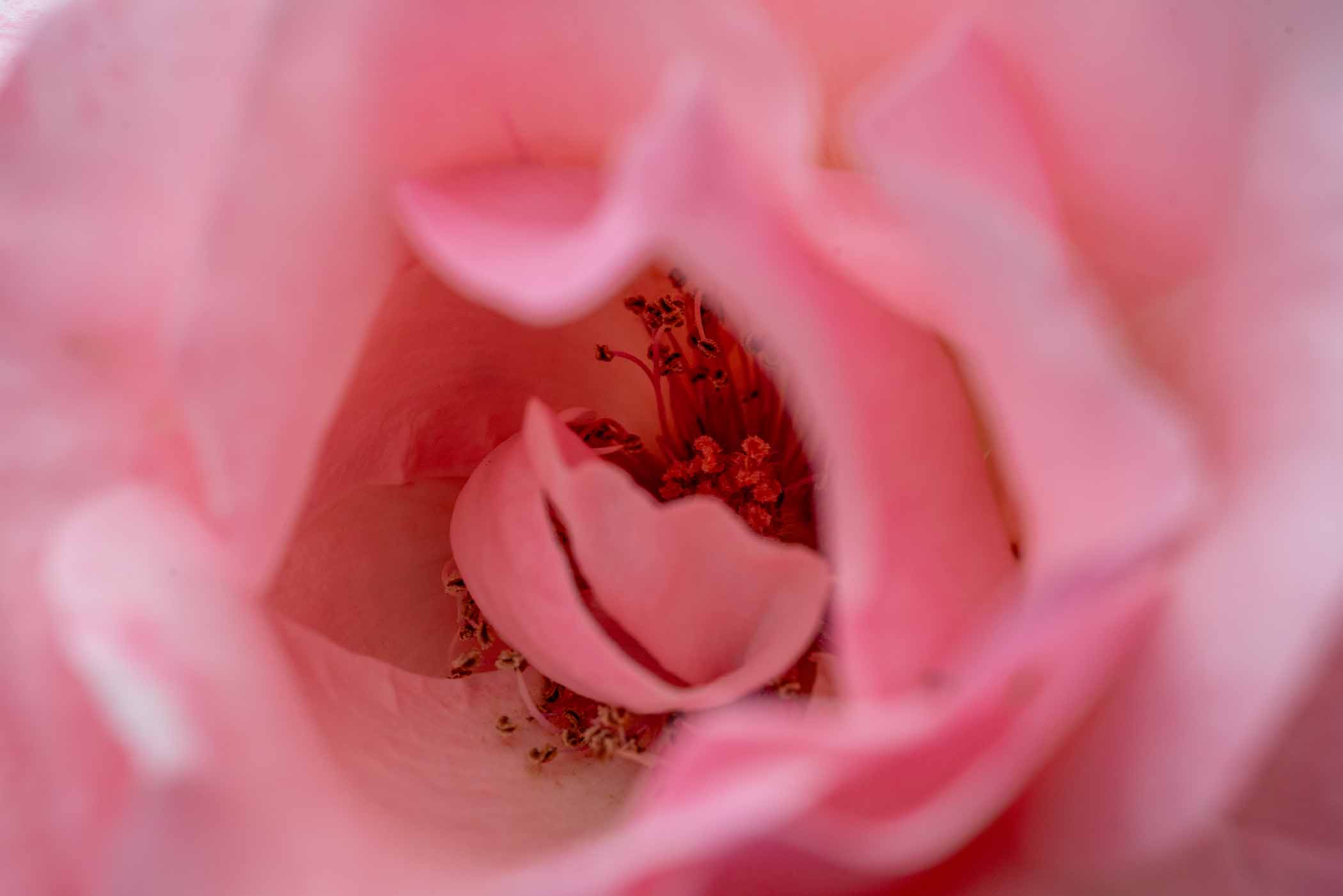 W-PE8_9629.jpg