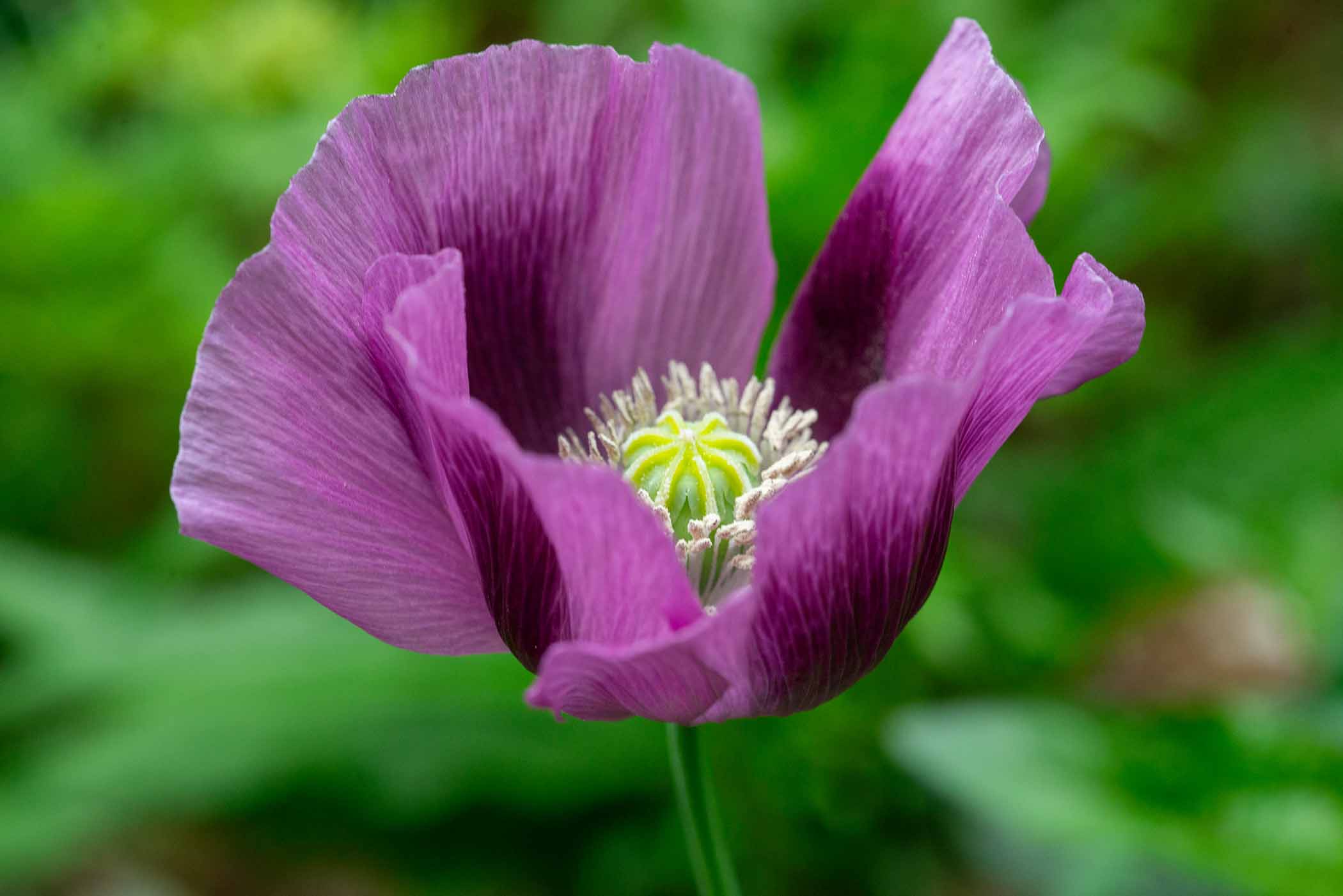 W-PE8_9618.jpg